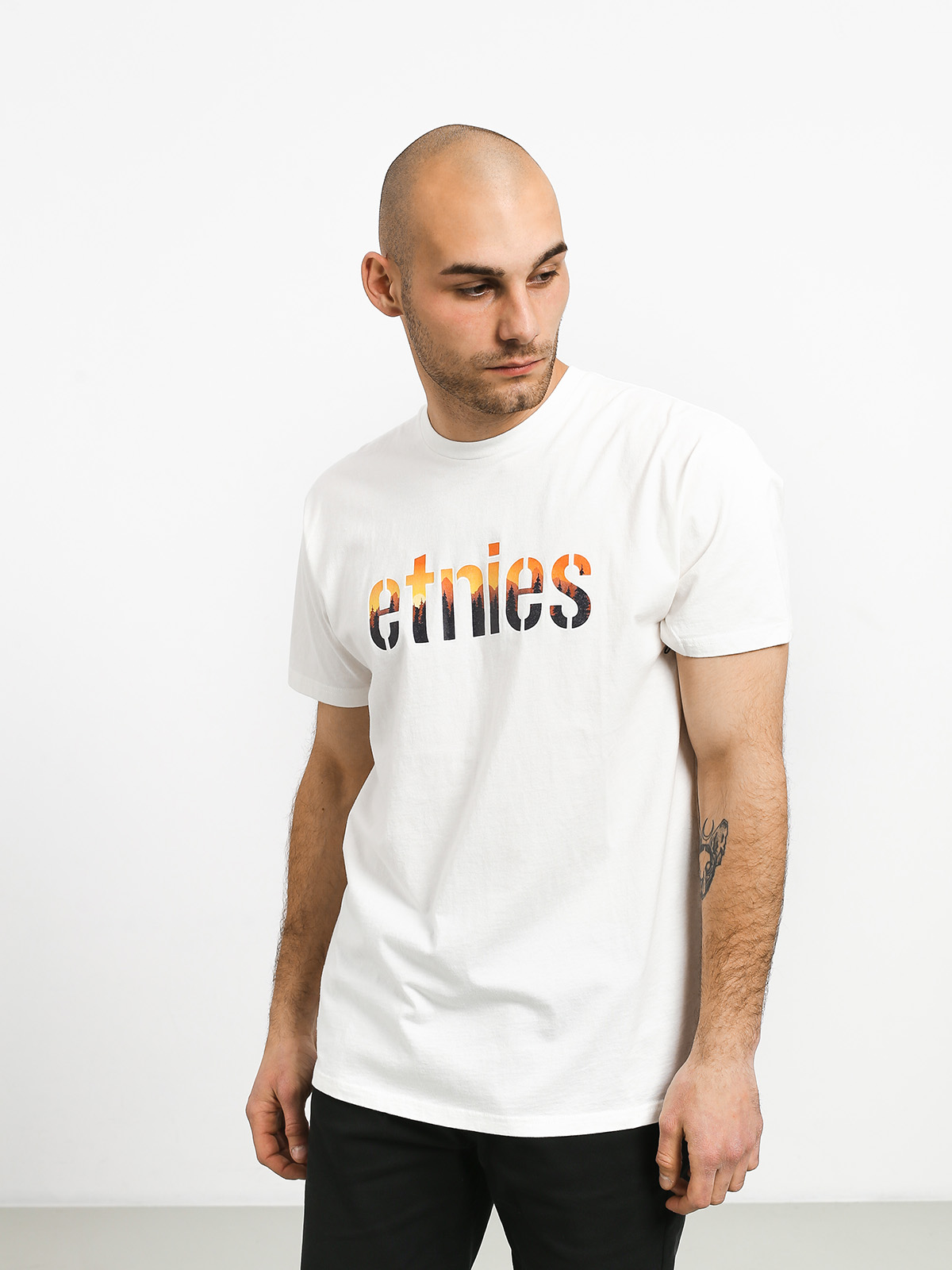 T-shirt Etnies Landscape (stone)