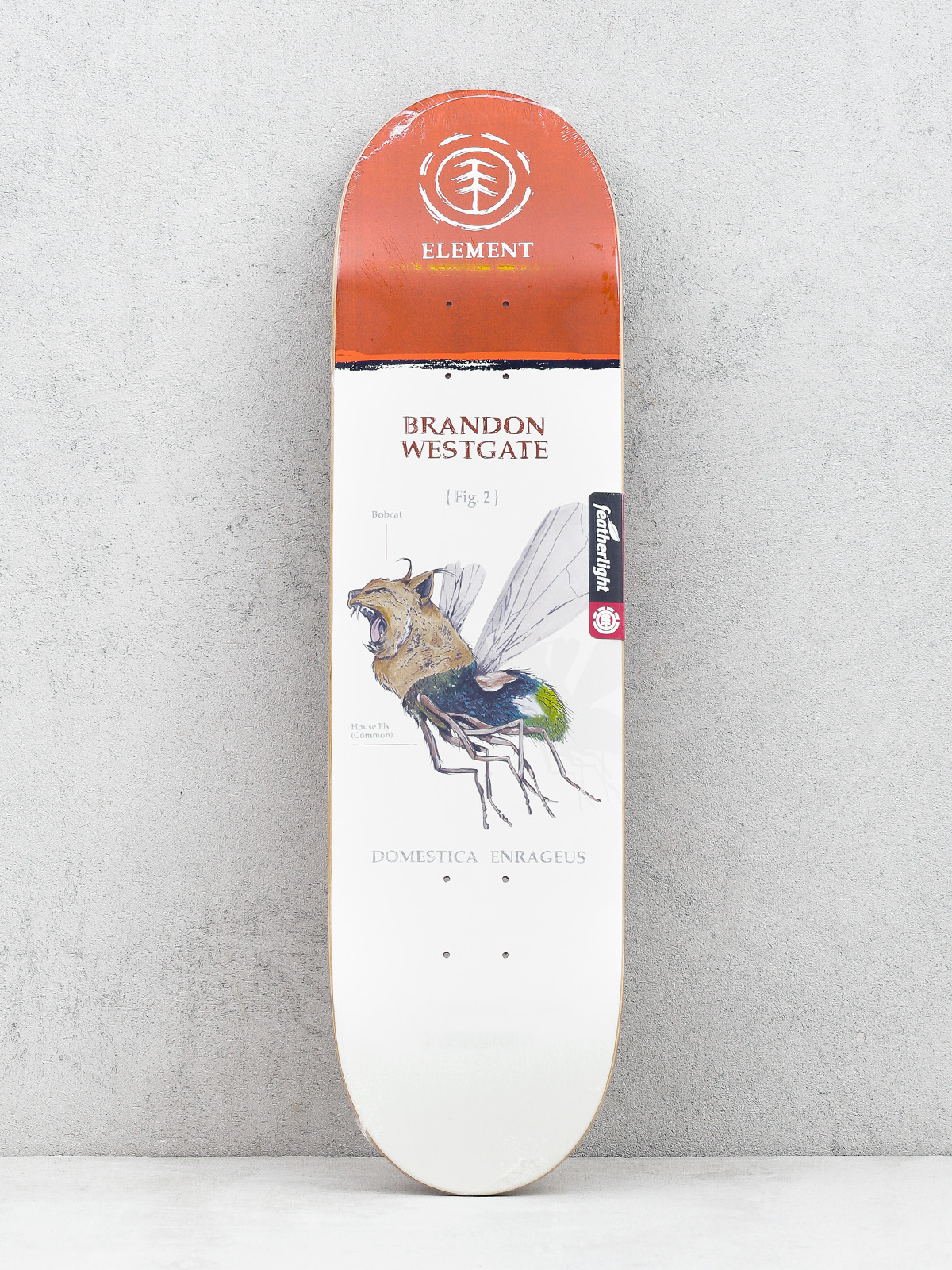 Deck Element Penxa Hybrid Wstgat (multi)