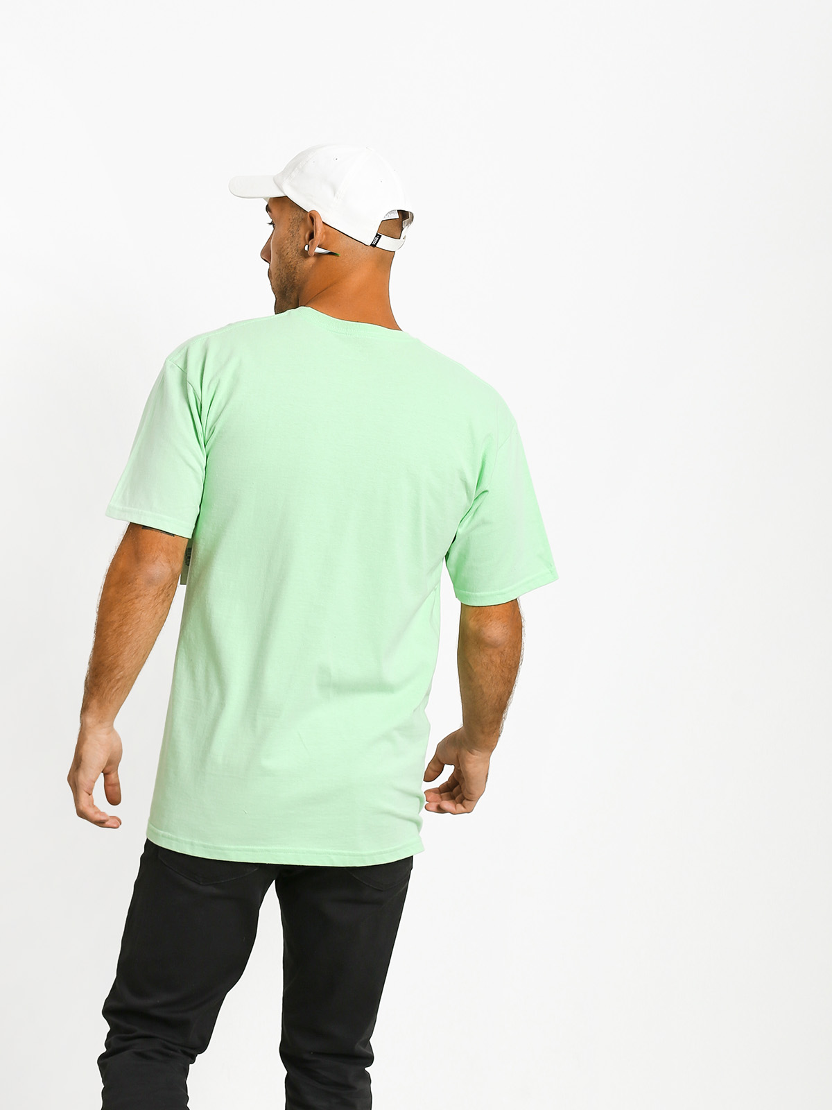 T-shirt Diamond Supply Co. Perched (mint)