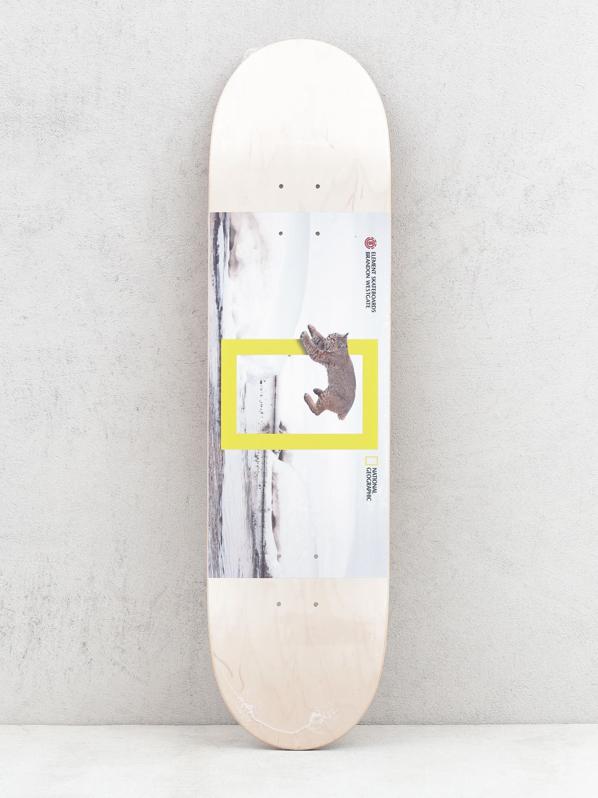 Deck Element Nat Geo Westgate Cat (assorted)
