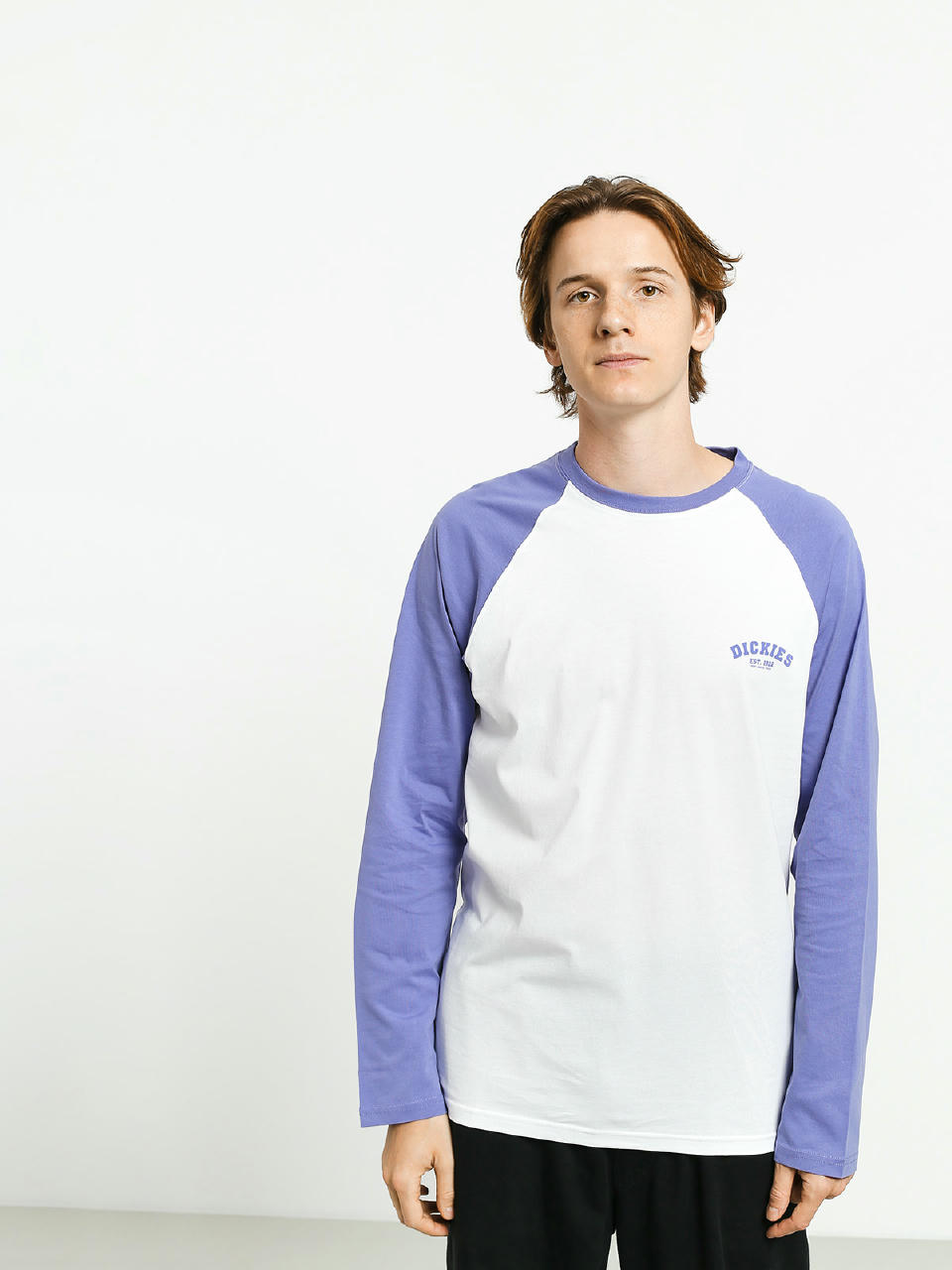 Longsleeve Dickies Baseball (dusted lilac)