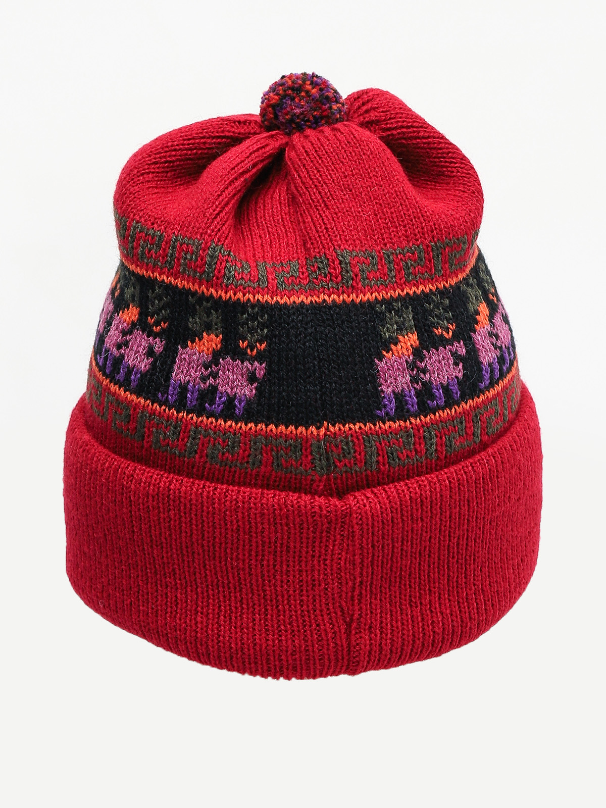 Czapka zimowa Youth Skateboards Inka (red)