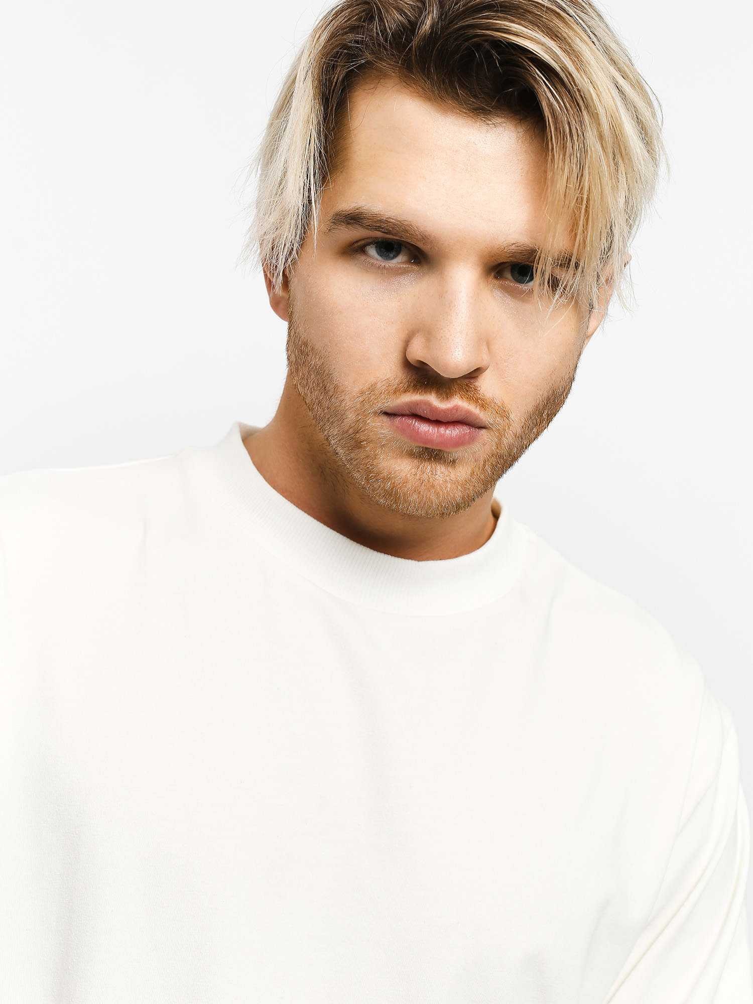 Longsleeve The Hive Premium (off white)