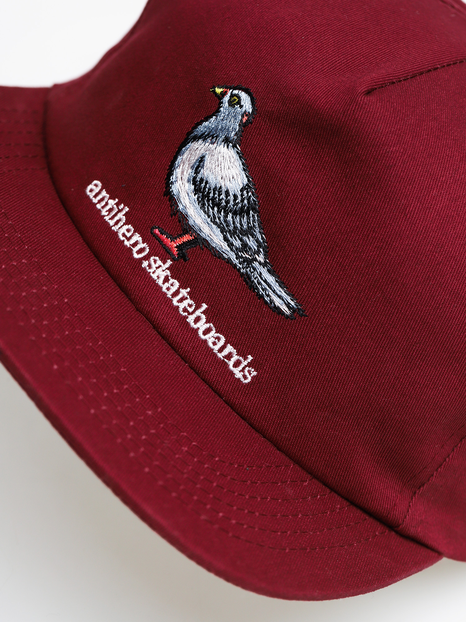 Czapka z daszkiem Antihero Adj Pigeon Snap ZD (maroon)