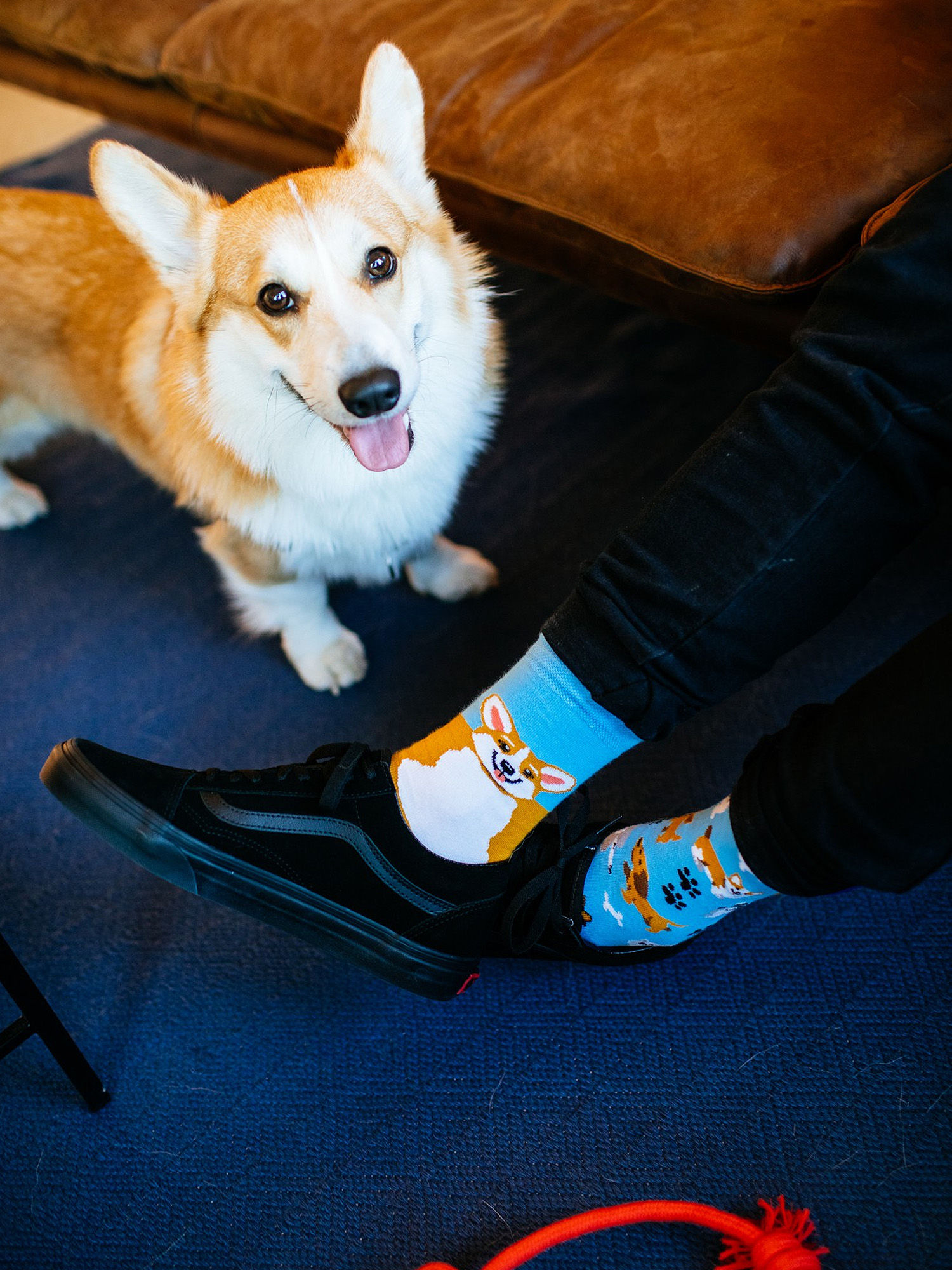 Skarpetki Many Mornings Playful Dog (light blue/mustard)