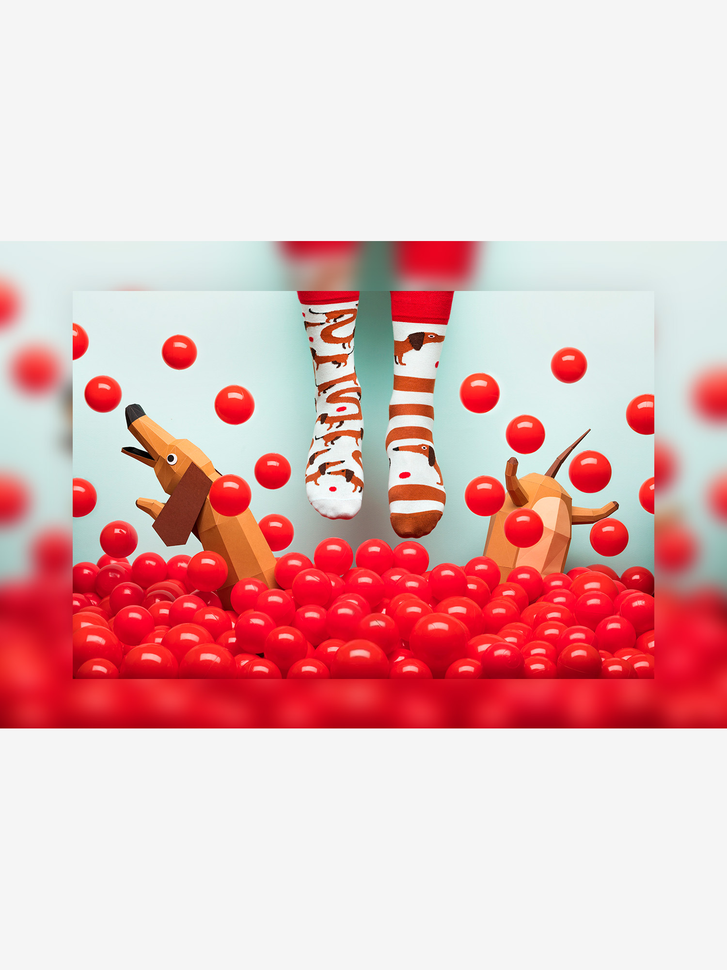 Skarpetki Many Mornings Sausage Dog (light blue/brown)