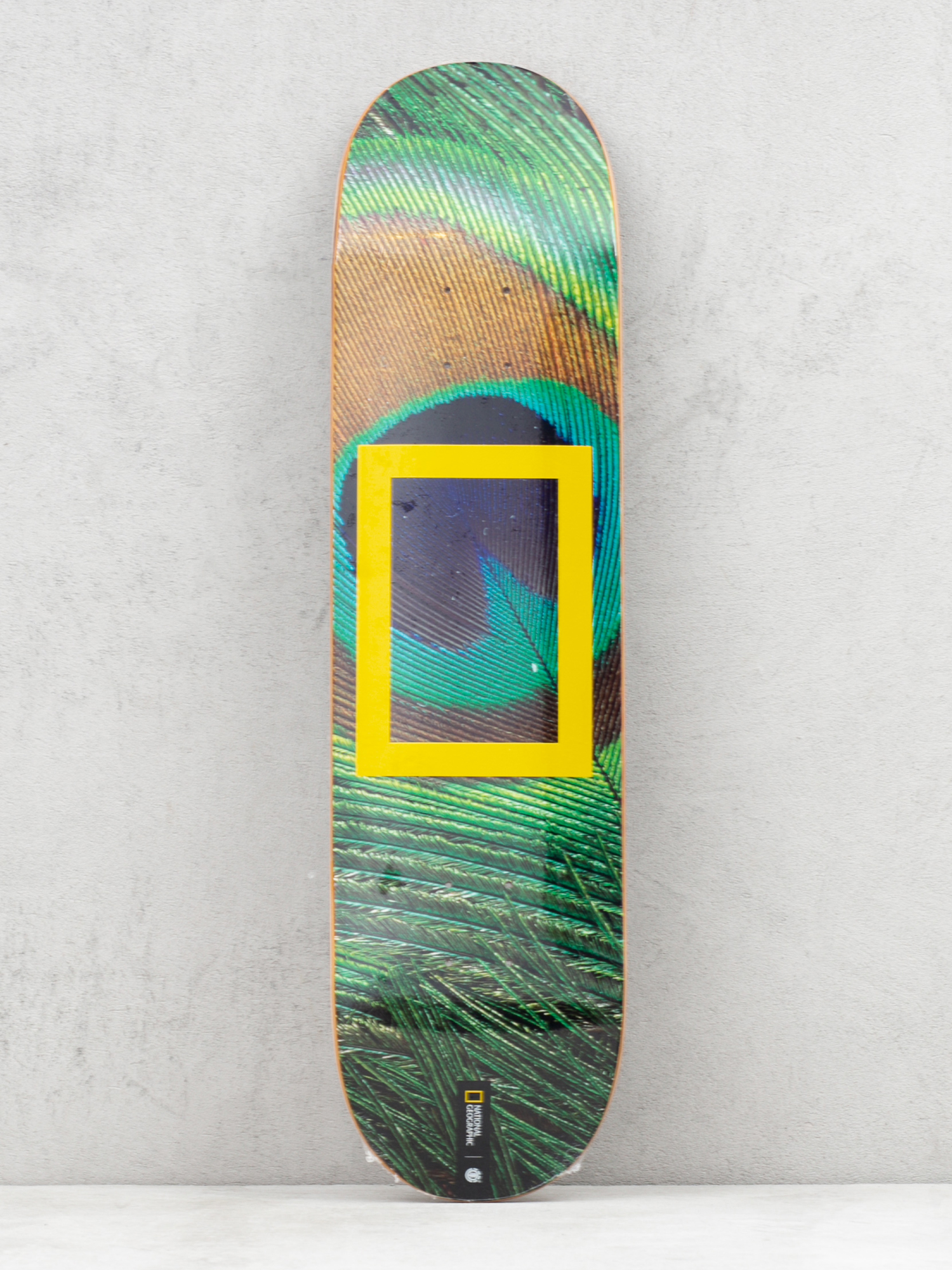 Deck Element Nat Geo Peacock (assorted)