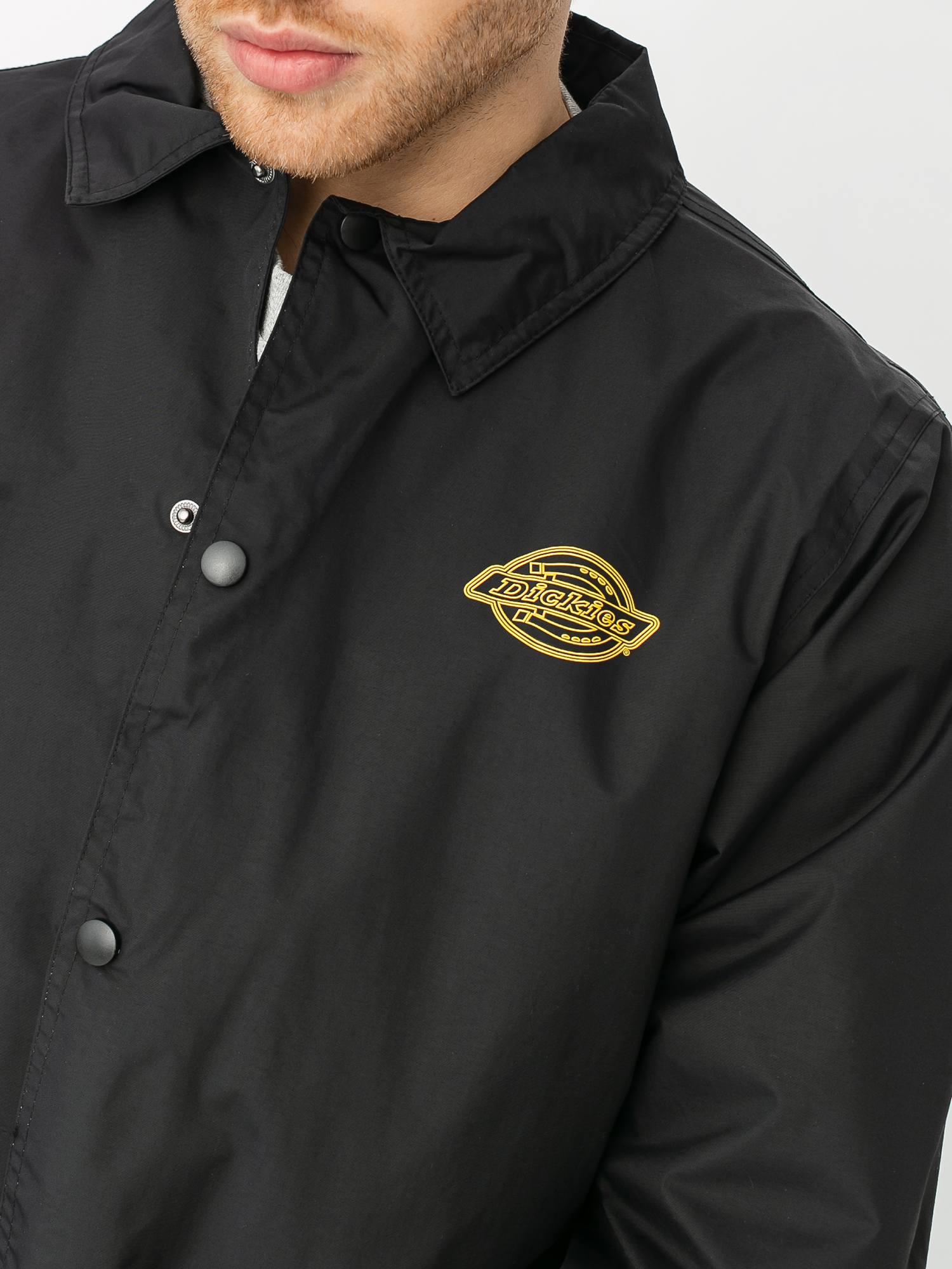 Kurtka Dickies Lindale (black)
