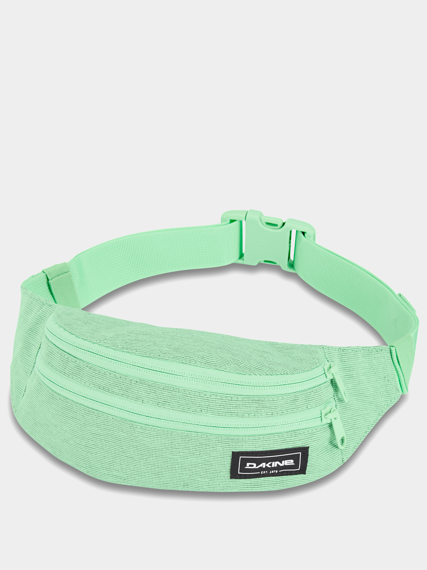 Nerka Dakine Classic Hip Pack (dusty mint)