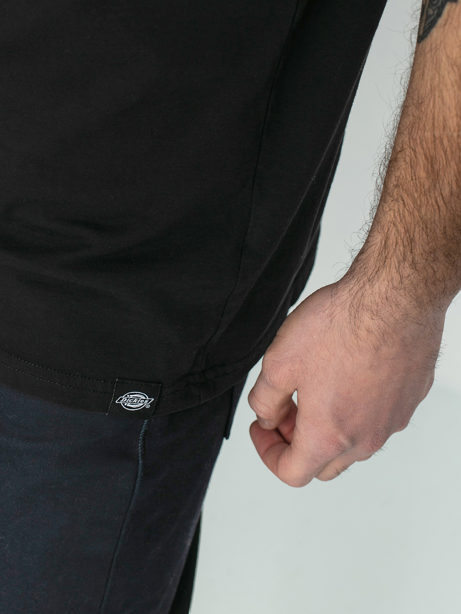 T-shirt Dickies Statham (black)