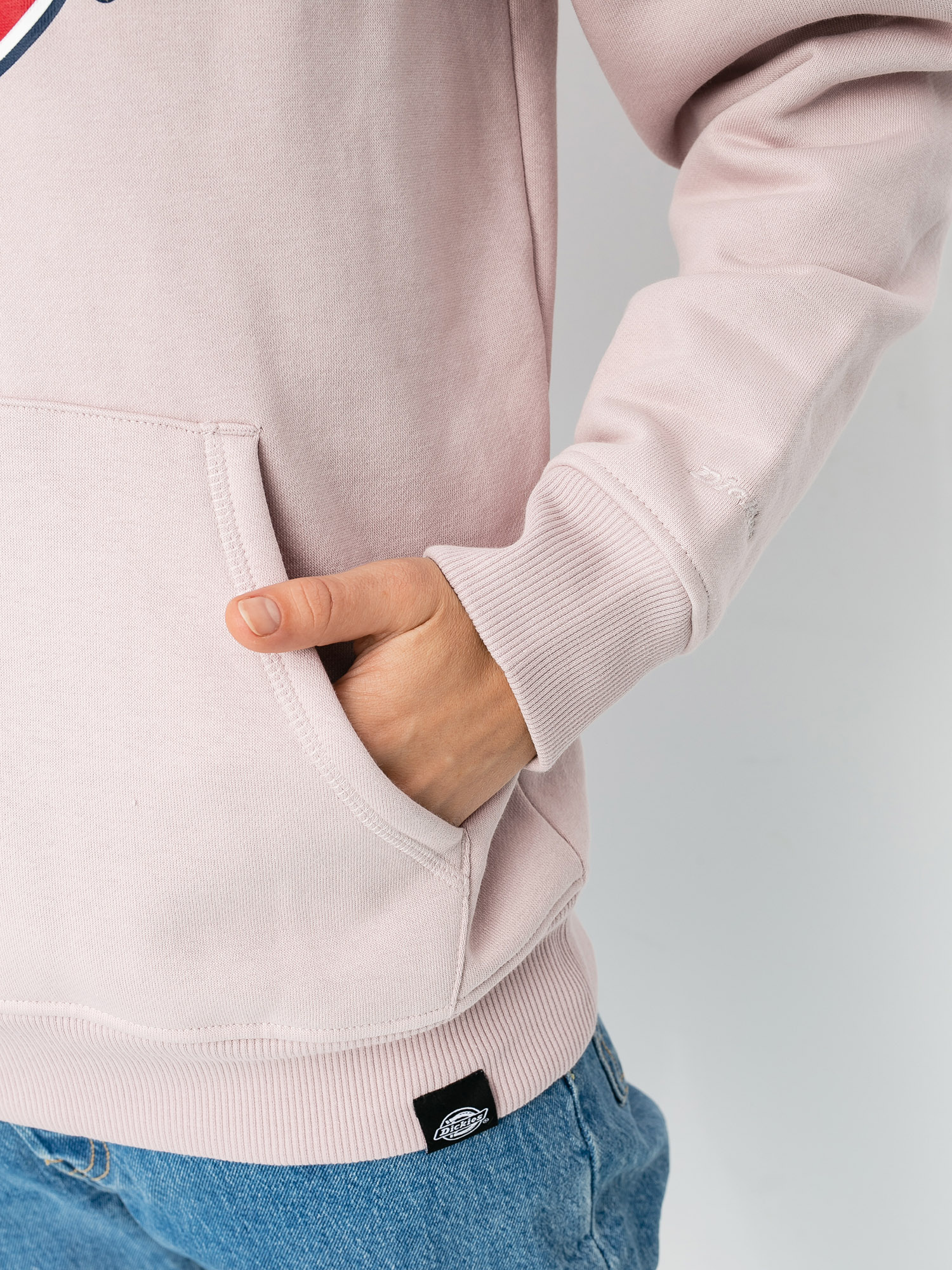 Bluza Dickies San Antonio Wmn (violet)