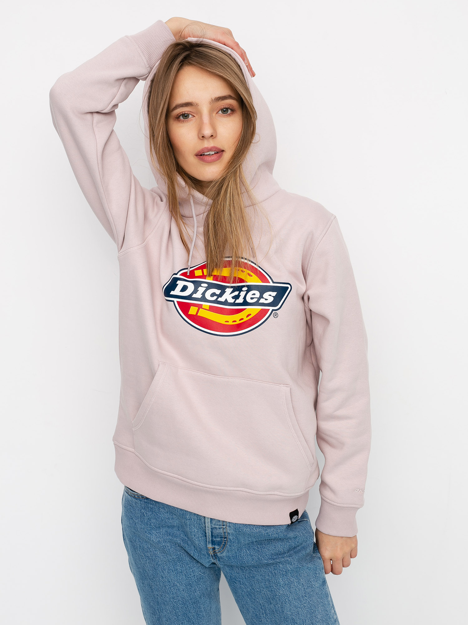 Bluza Dickies San Antonio Wmn (violet)