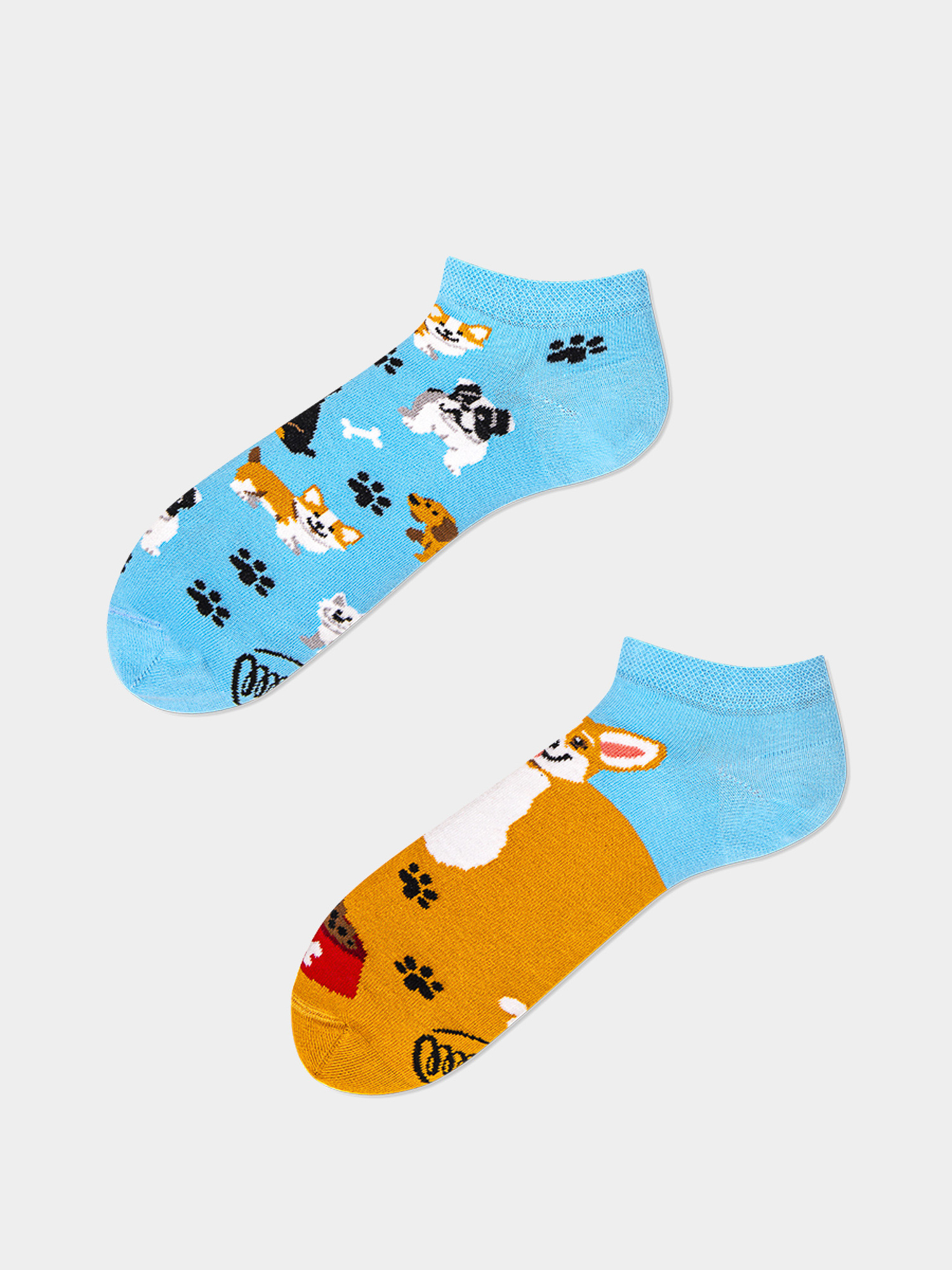 Skarpetki Many Mornings Playful Dog Low (light blue/mustard)