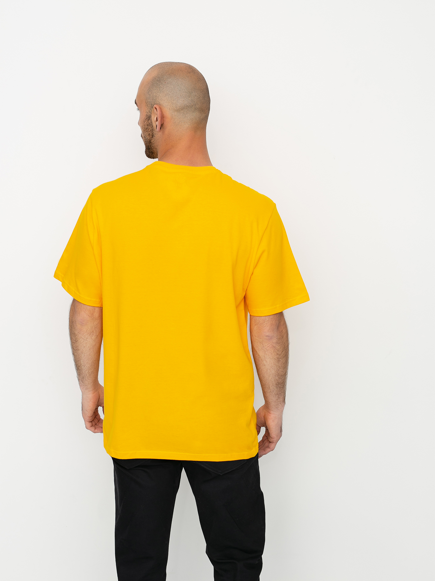 T-shirt Element Blazin Chest (gold)