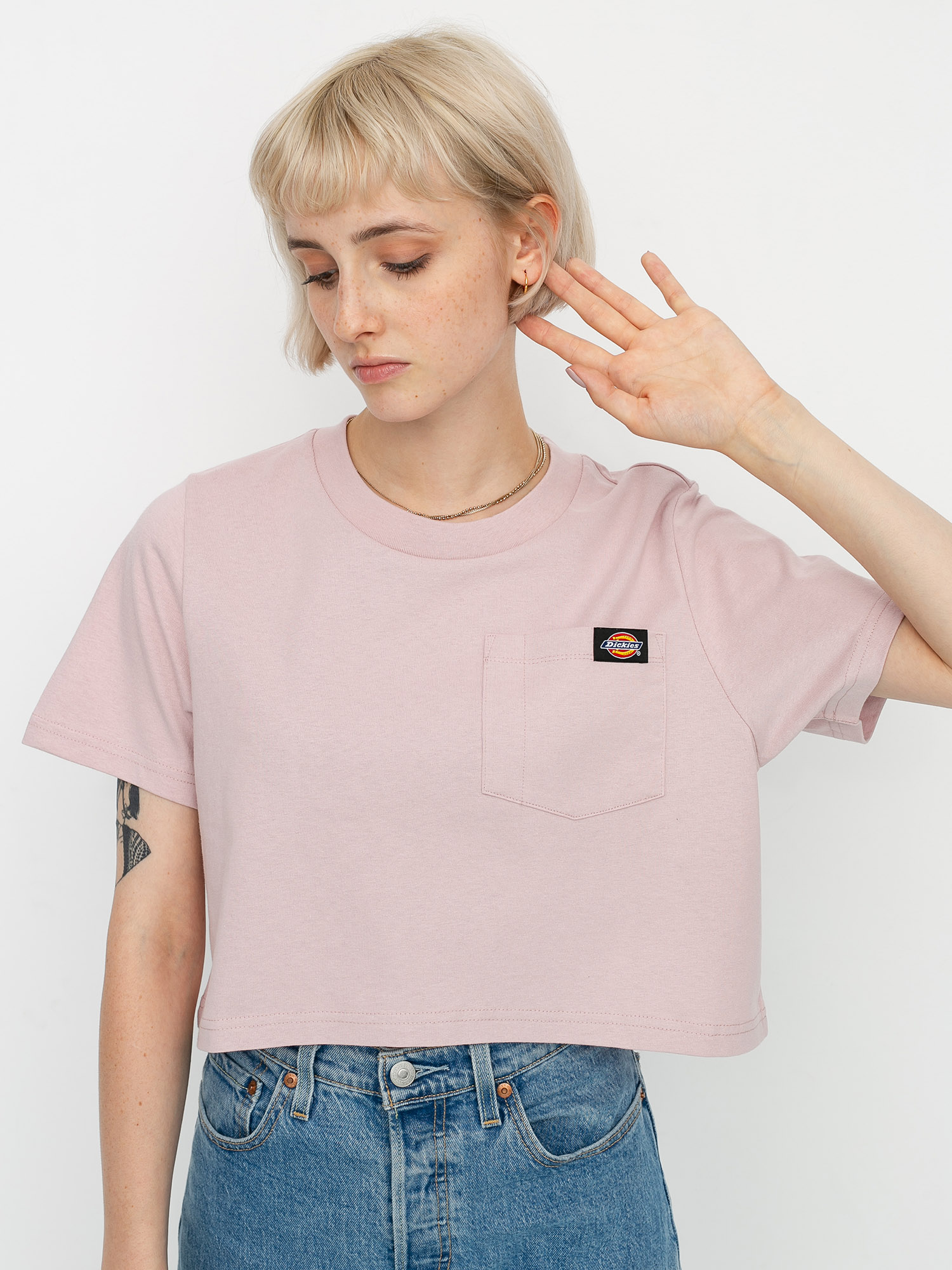T-shirt Dickies Ellenwood (violet)