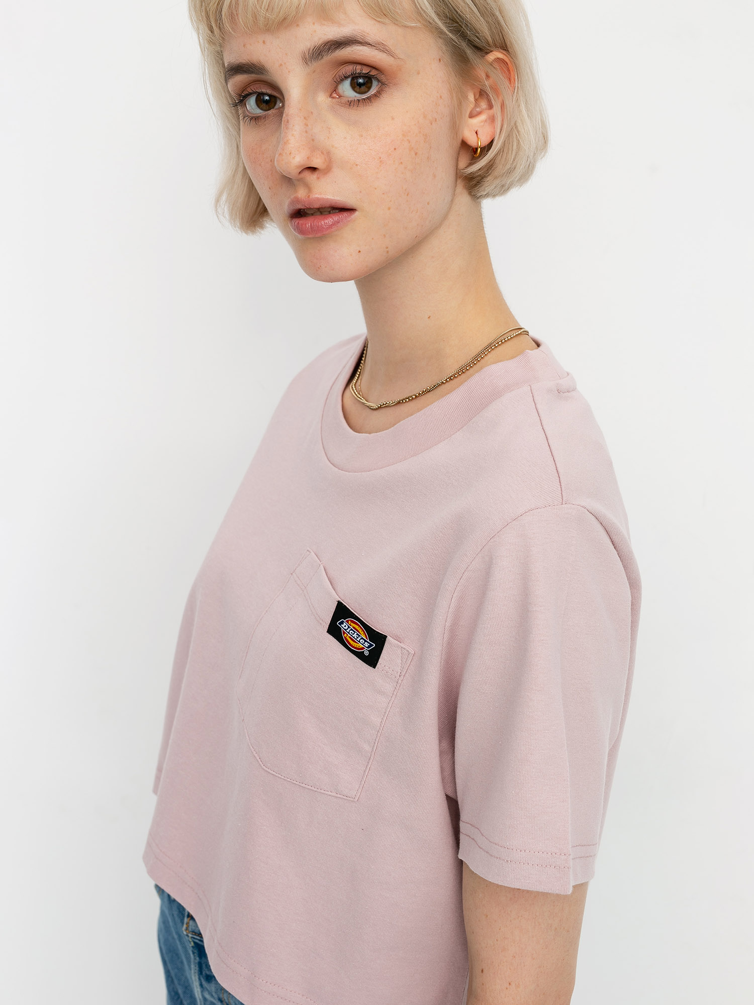 T-shirt Dickies Ellenwood (violet)