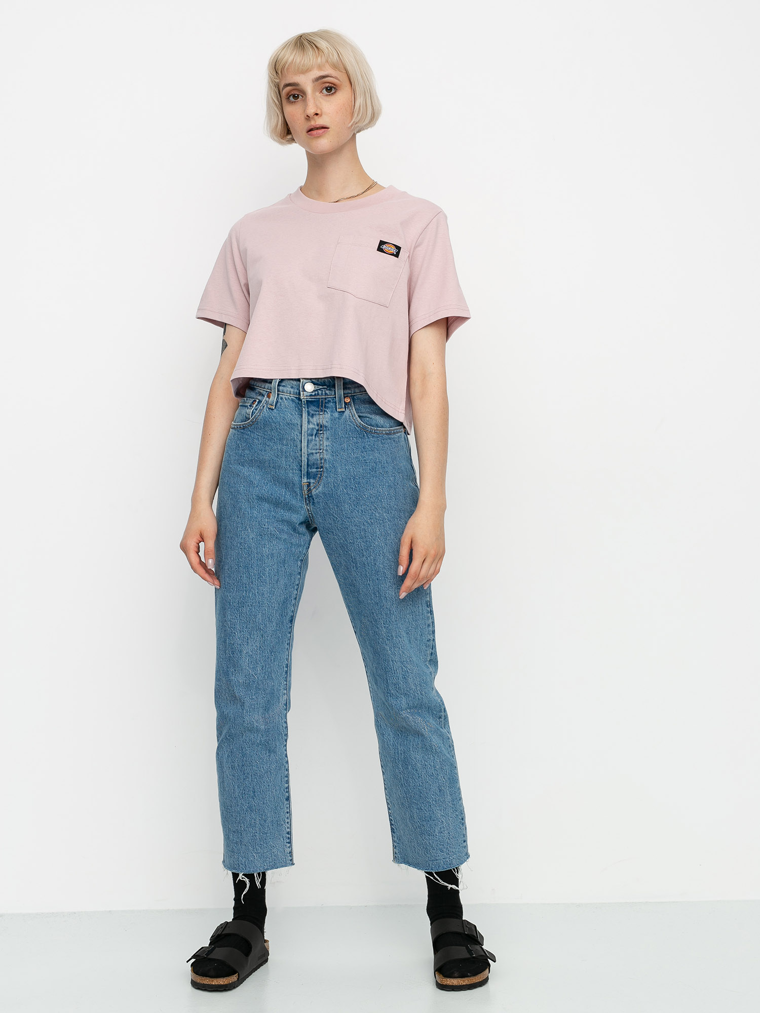 T-shirt Dickies Ellenwood (violet)