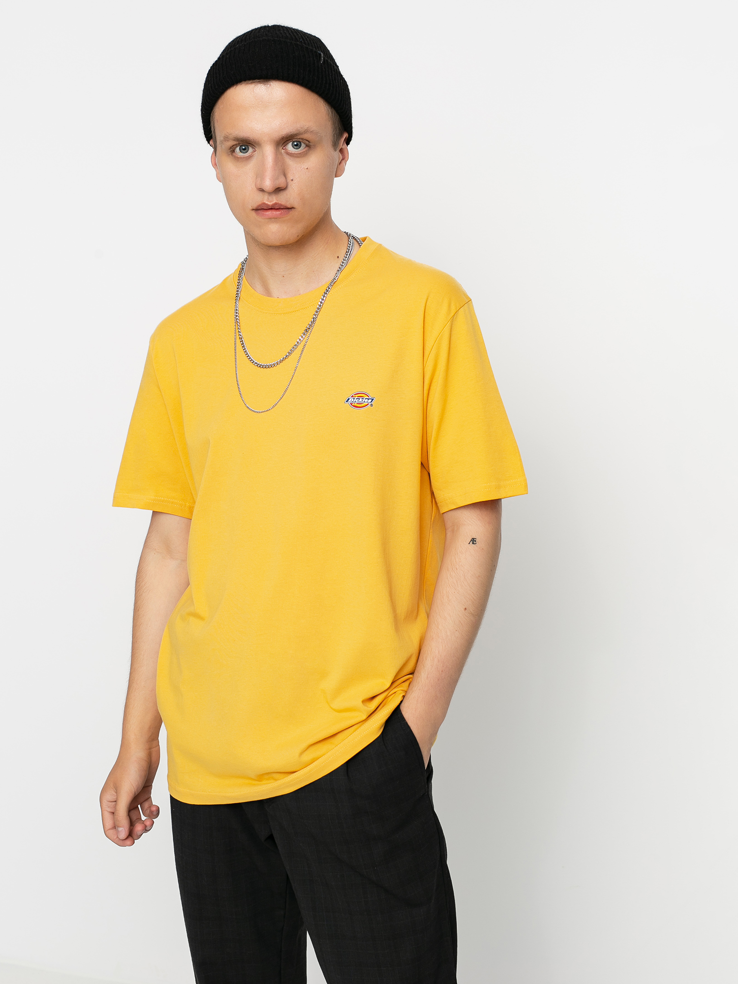 T-shirt Dickies Stockdale (apricot)