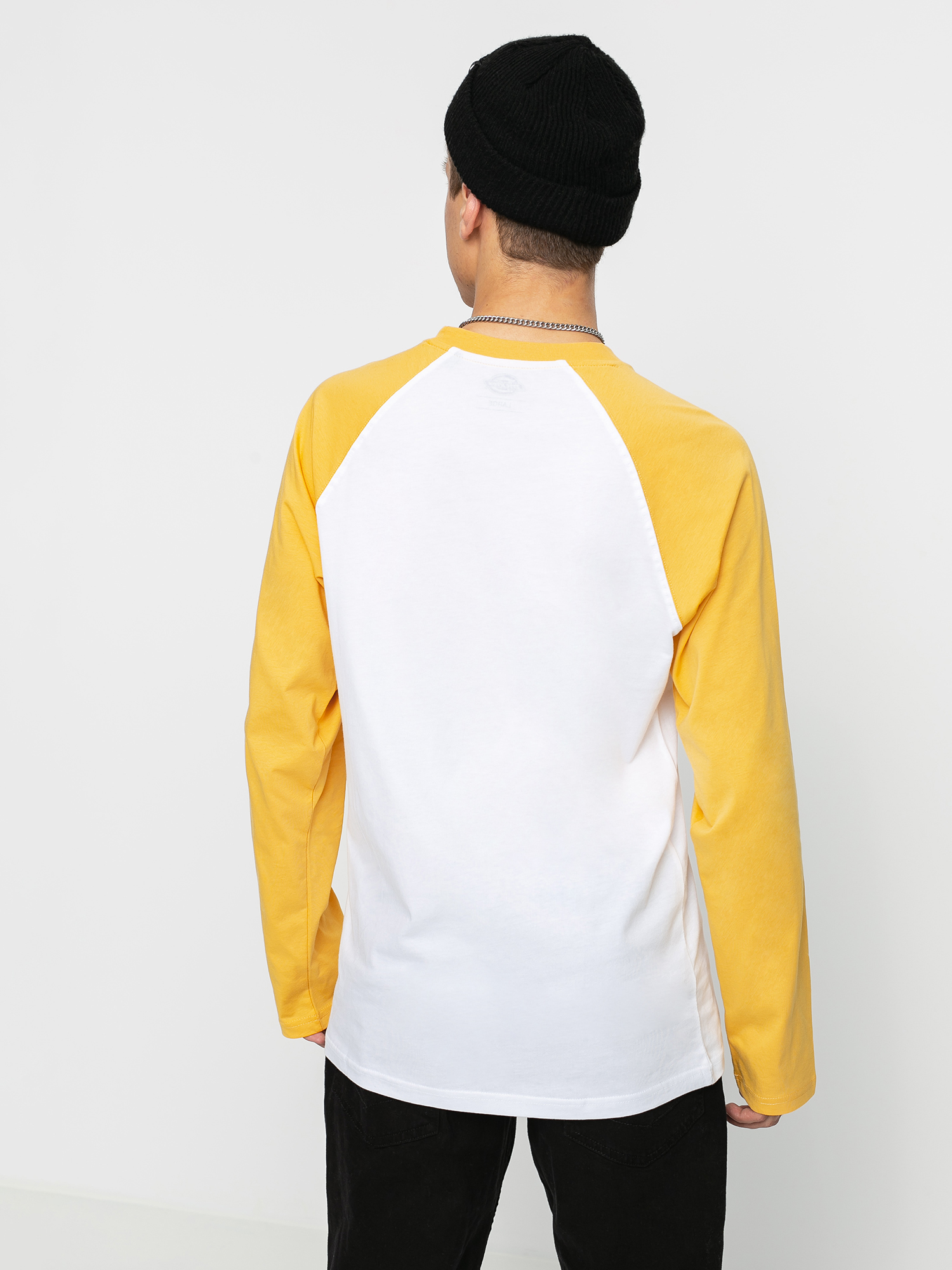 Longsleeve Dickies Youngsville (apricot)
