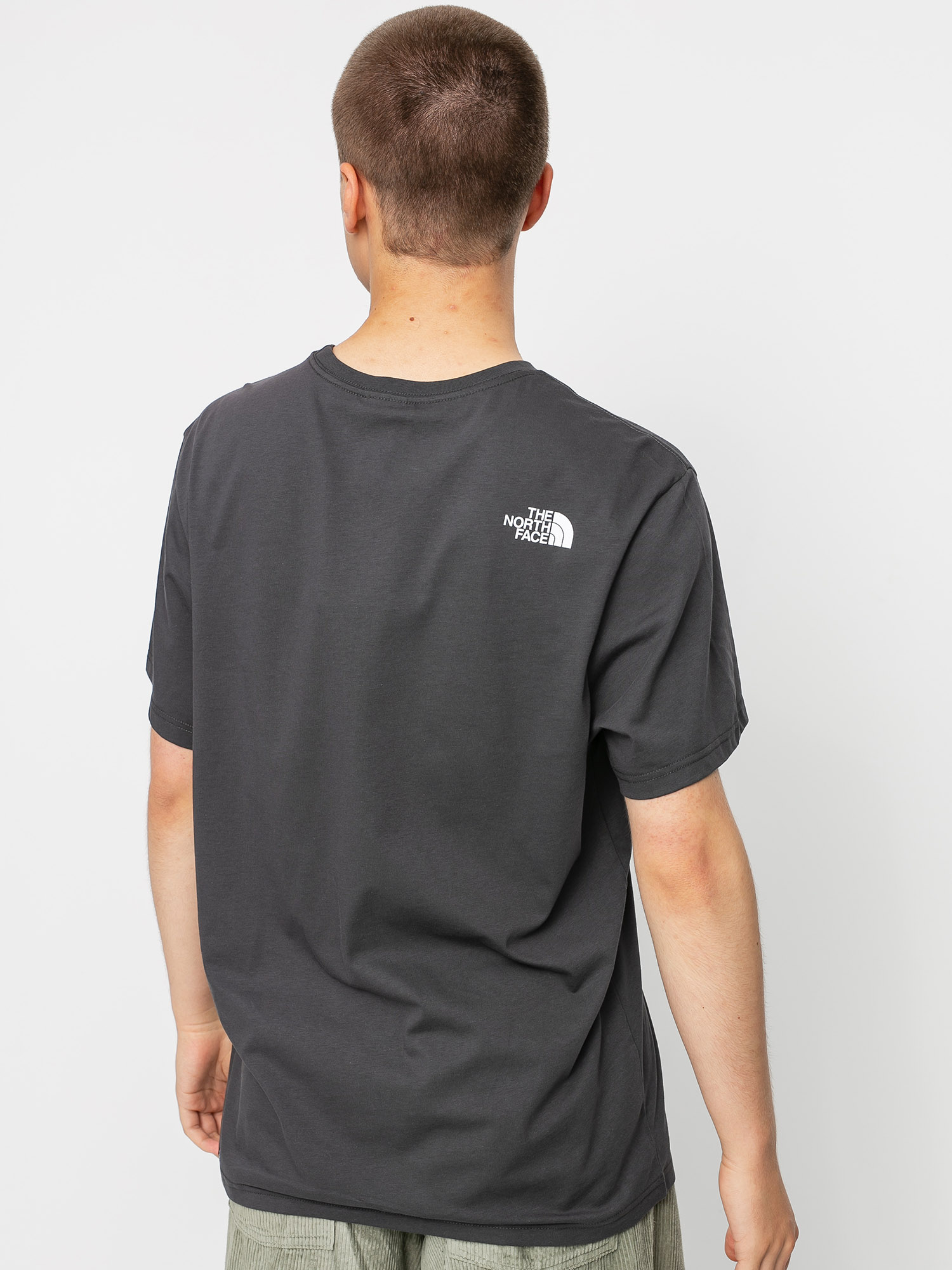 T-shirt The North Face Fine Alpine Equipment (asphalt grey)