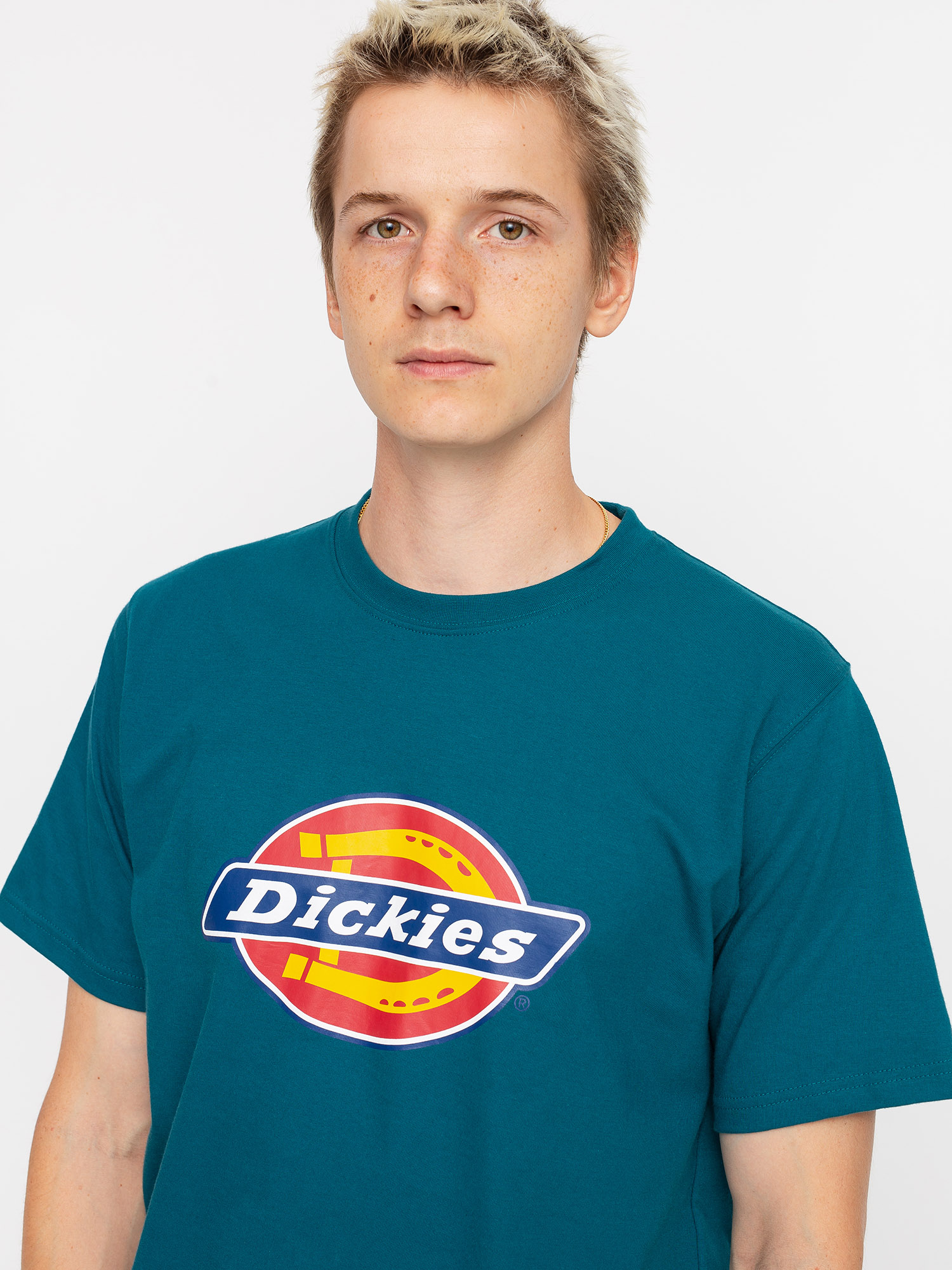 T-shirt Dickies Horseshoe (coral blue)