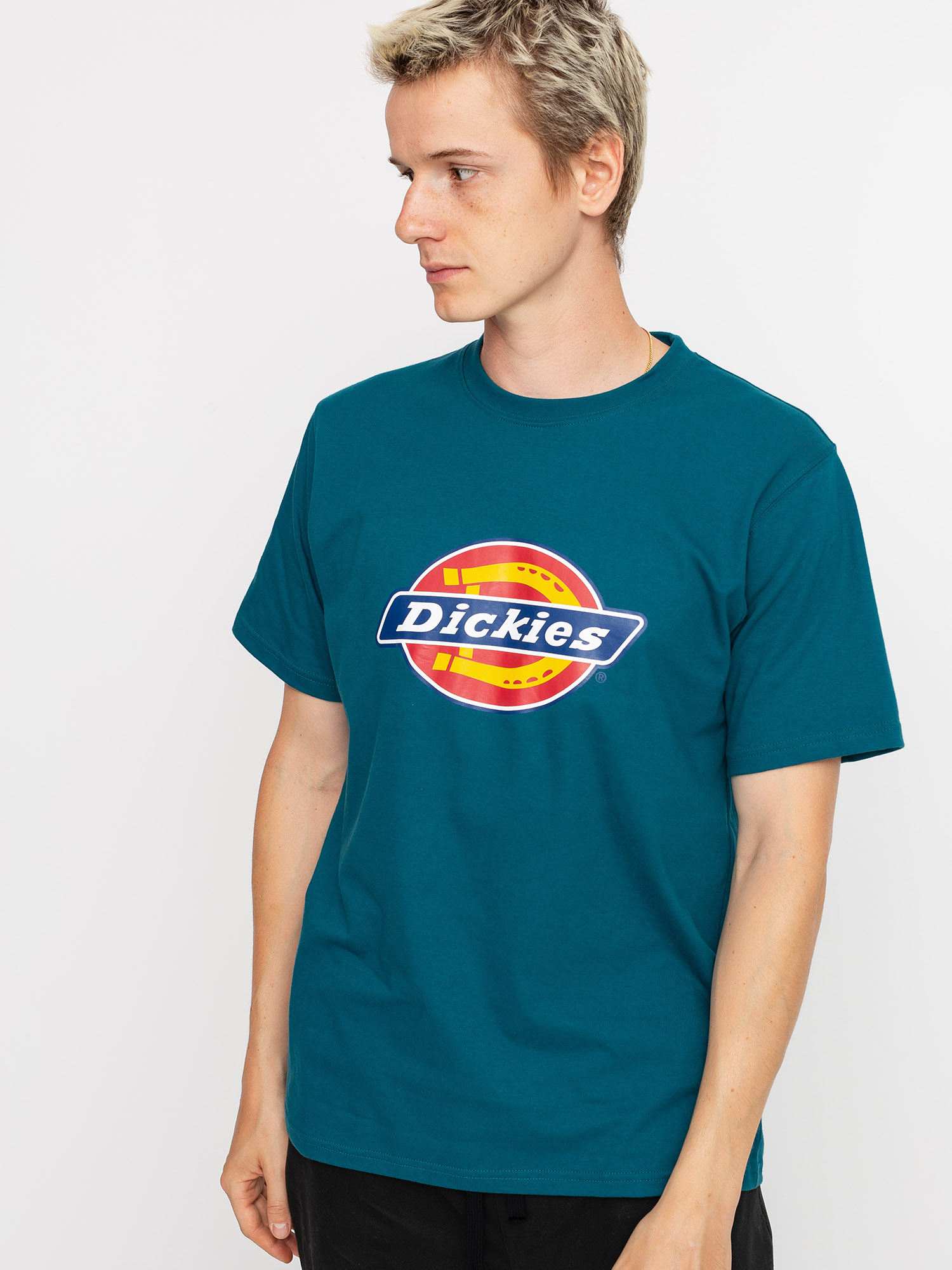 T-shirt Dickies Horseshoe (coral blue)