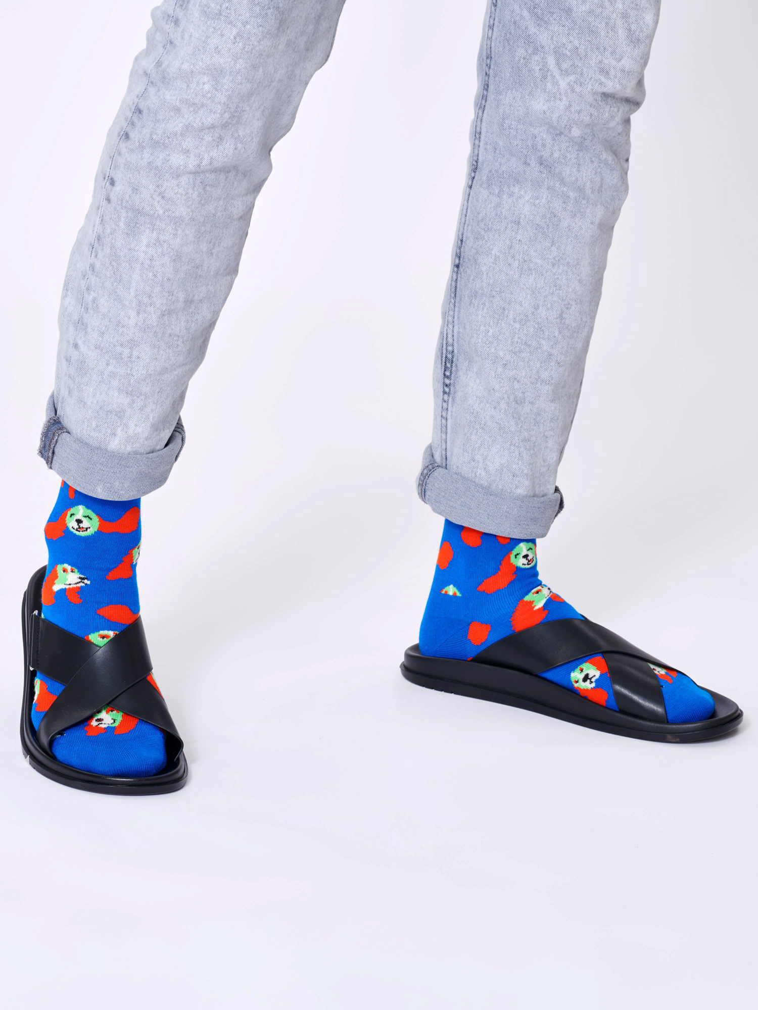Skarpetki Happy Socks Springer Spaniel (blue)