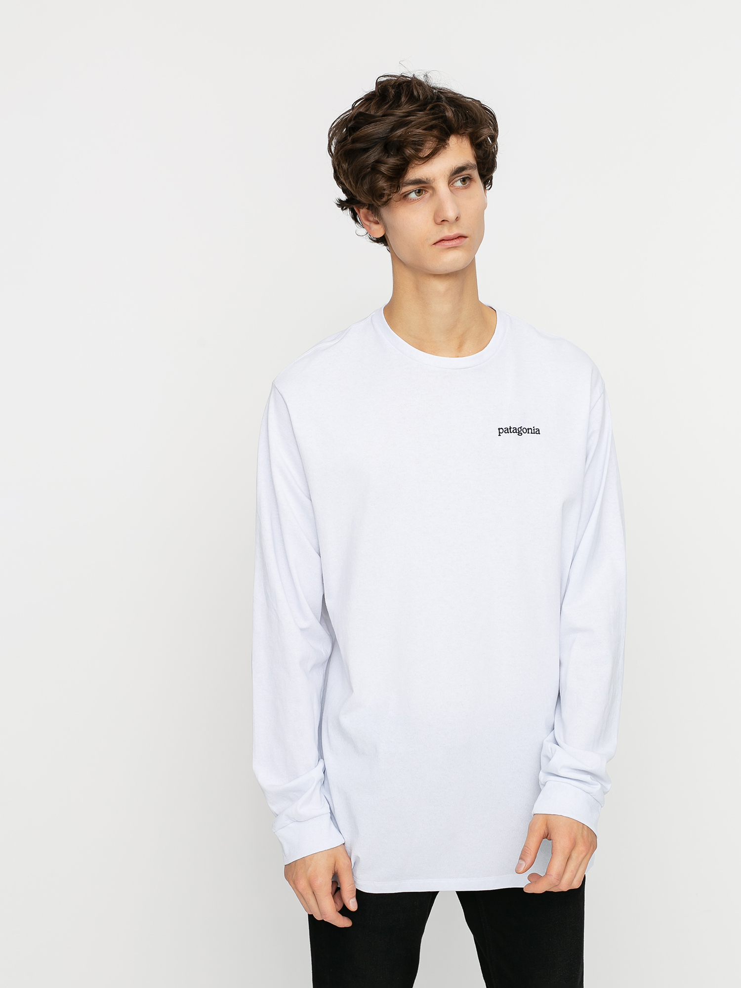 Longsleeve Patagonia Fitz Roy Horizons Responsibili (white)