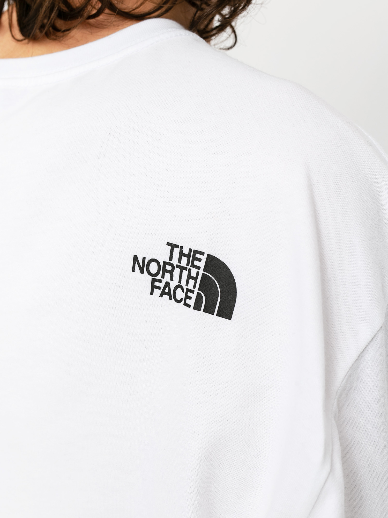 Longsleeve The North Face Boruda (white)
