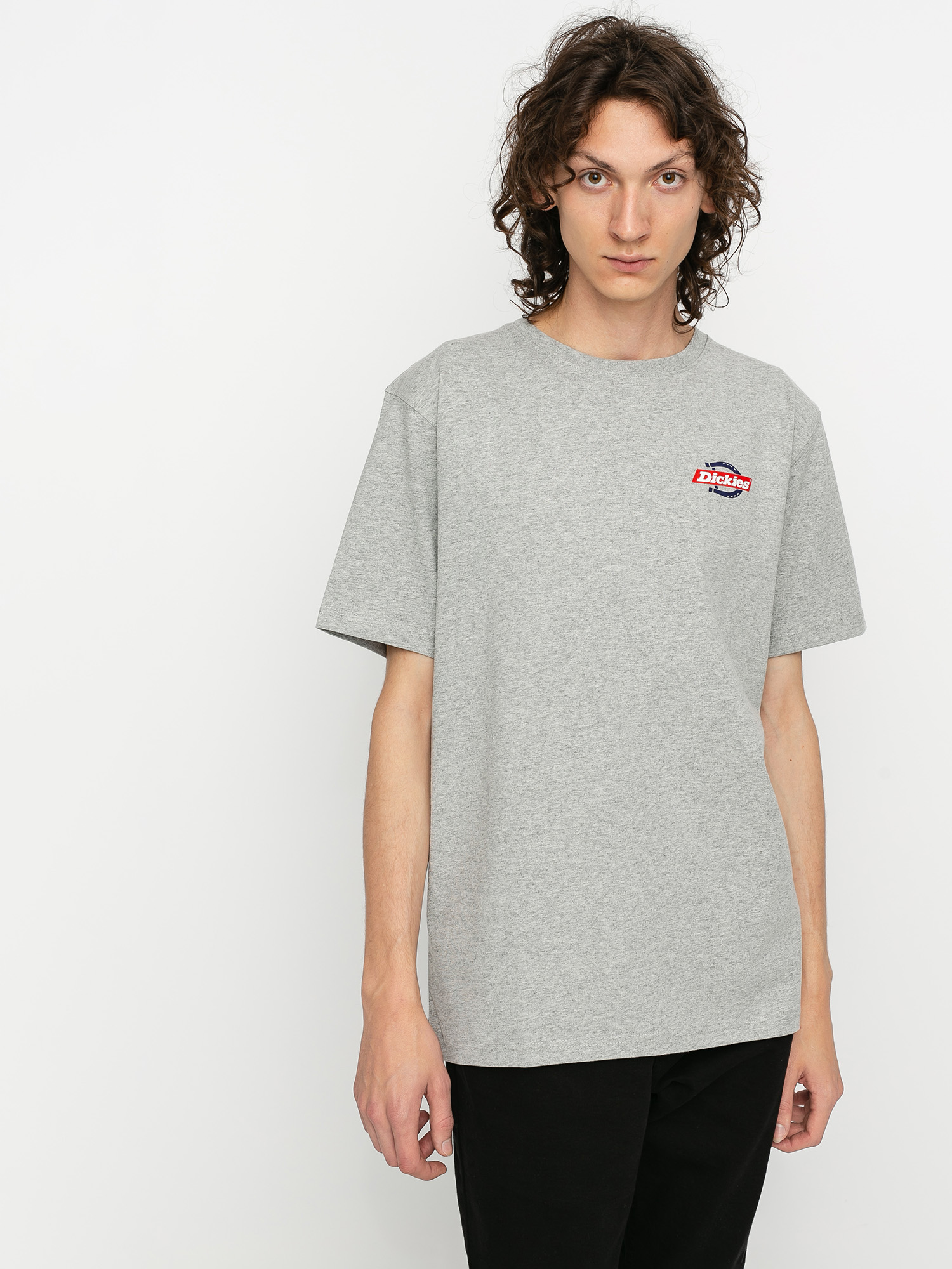T-shirt Dickies Ruston (grey melange)