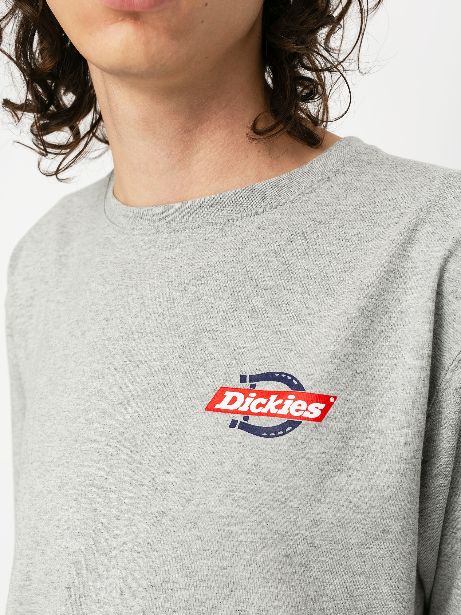T-shirt Dickies Ruston (grey melange)