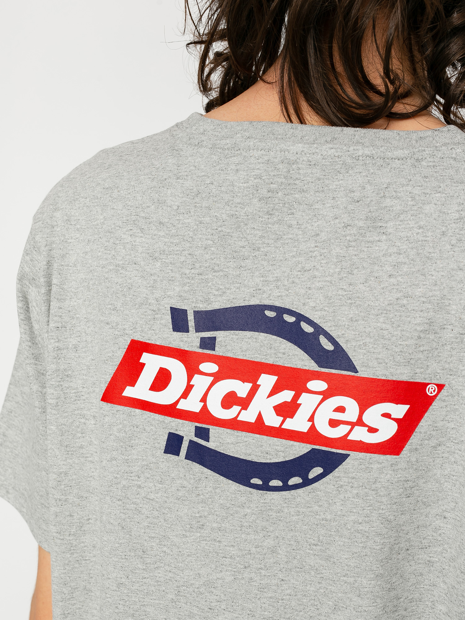 T-shirt Dickies Ruston (grey melange)
