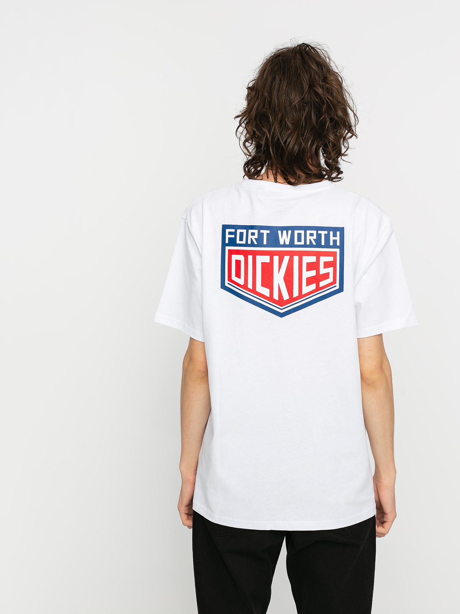T-shirt Dickies Timberlane (white)