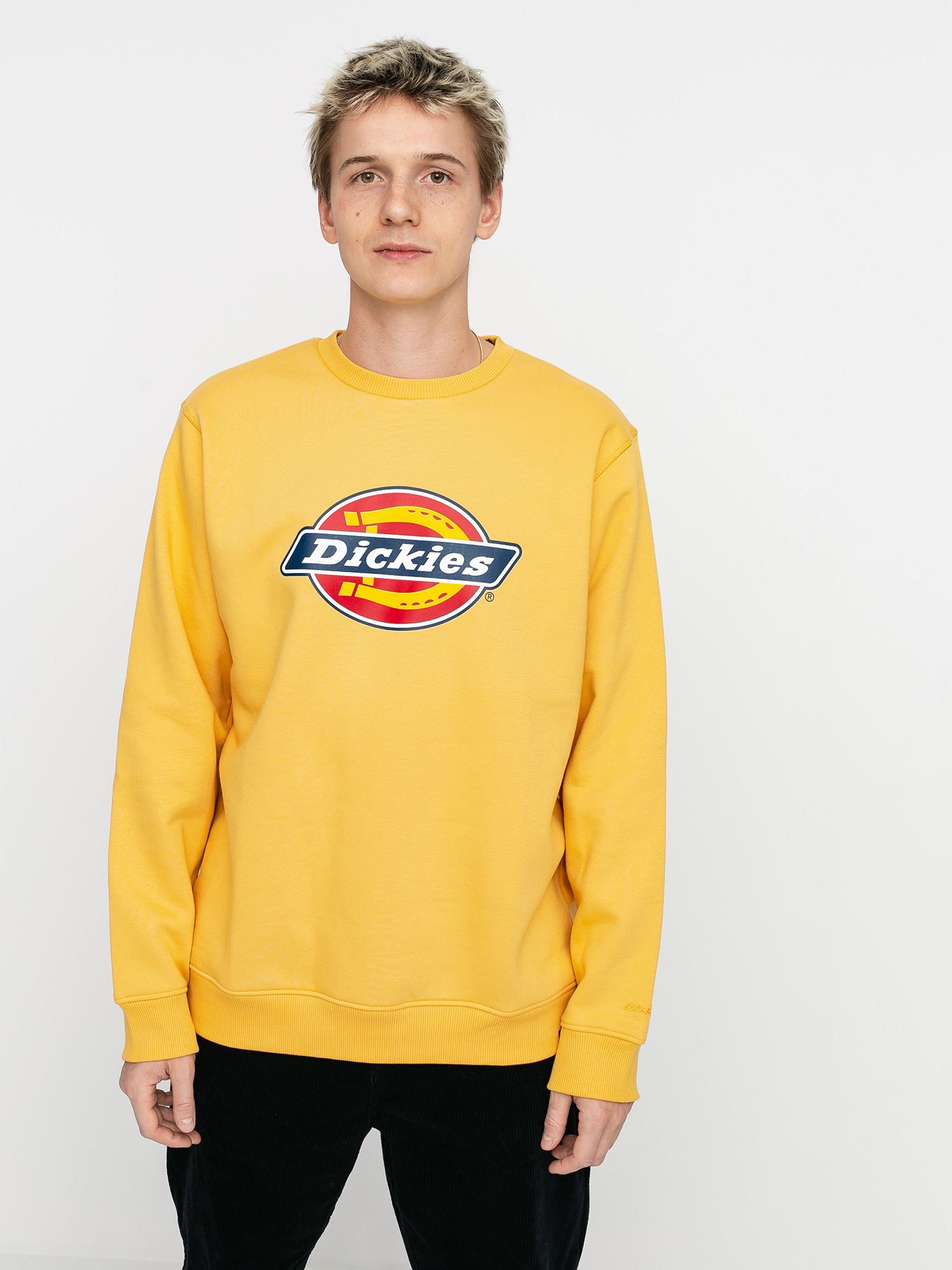 Bluza Dickies Pittsburgh (apricot)