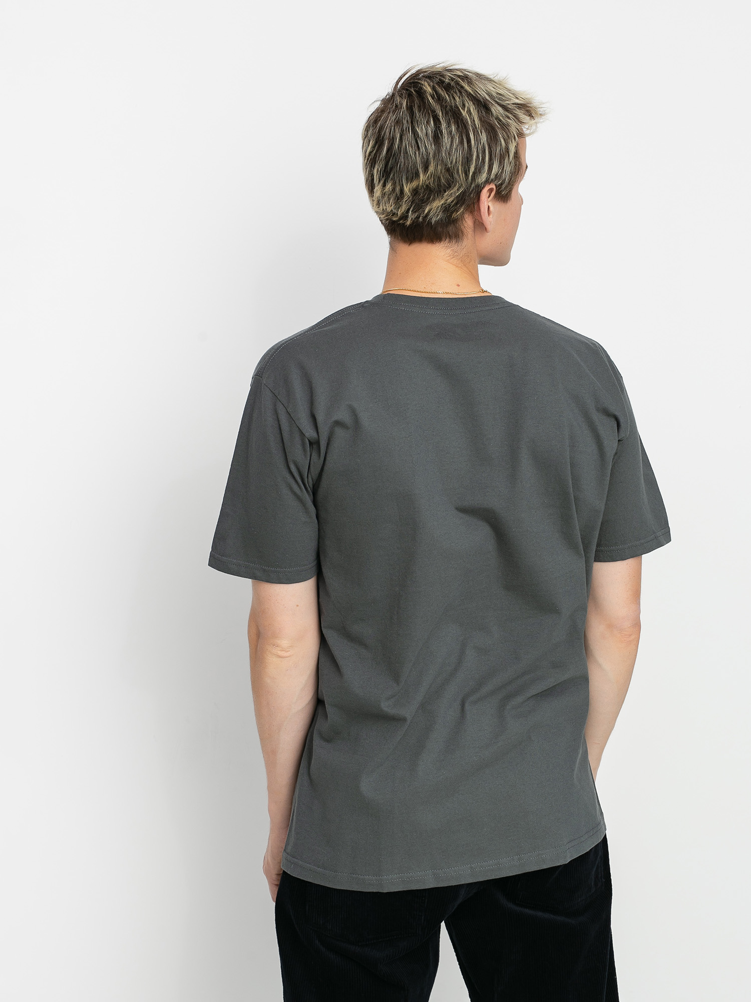 T-shirt Antihero Lil Pgn (charcoal/multi)