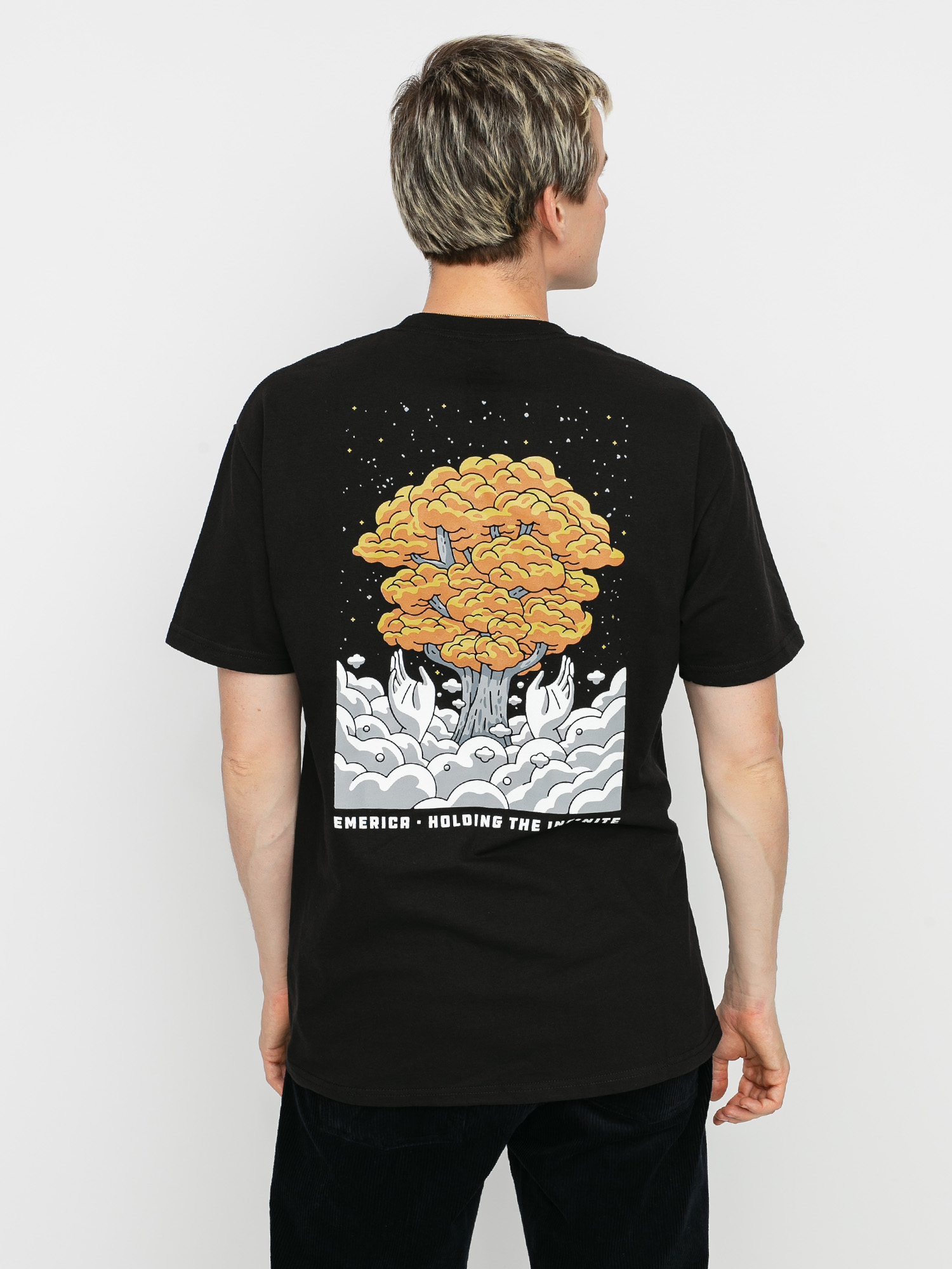 T-shirt Emerica Sasha Barr Tree (black)