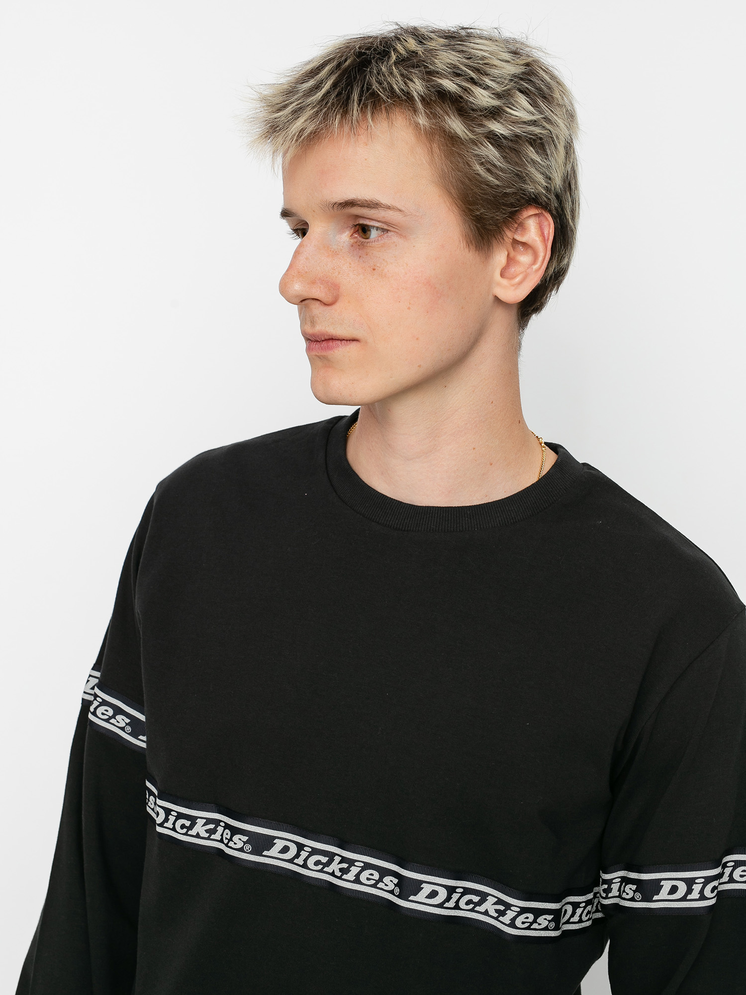 Longsleeve Dickies West Ferriday (black)