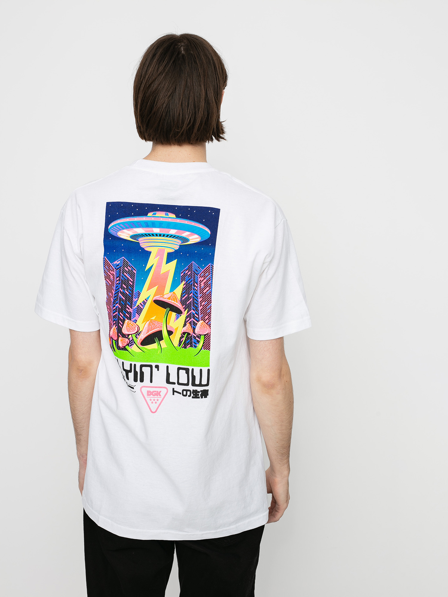 T-shirt DGK Liquid City (white)