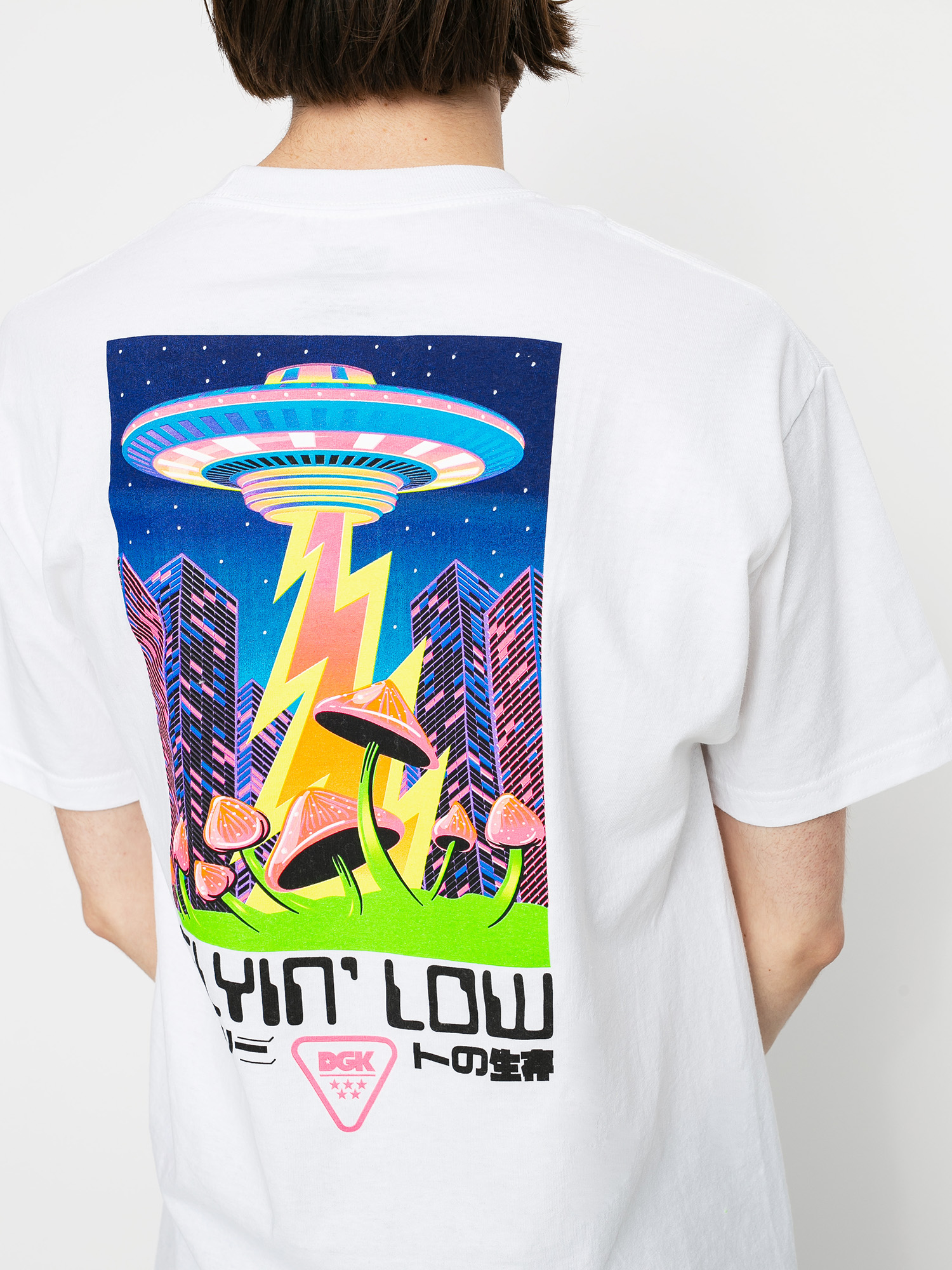 T-shirt DGK Liquid City (white)