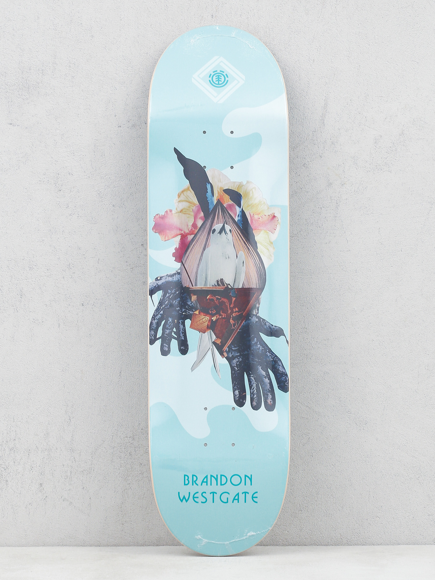 Deck Element Cut Paste Loy (assorted)