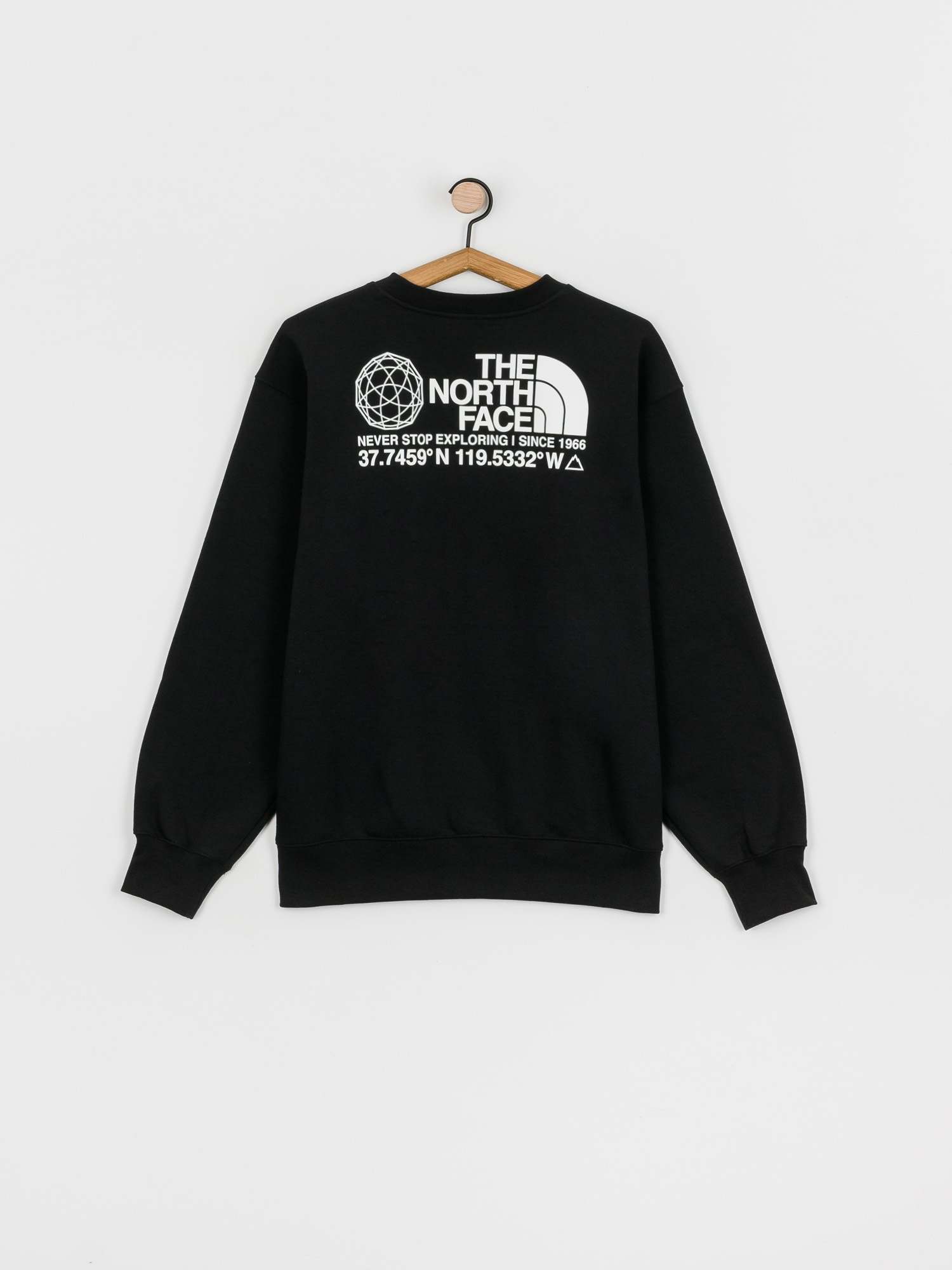 Bluza The North Face Coordinates (tnf black)