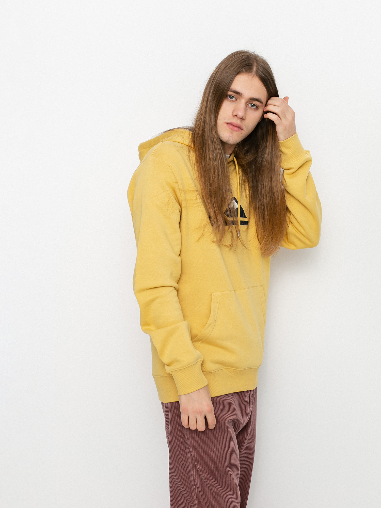 Bluza z kapturem Quiksilver Comp Logo HD (rattan)
