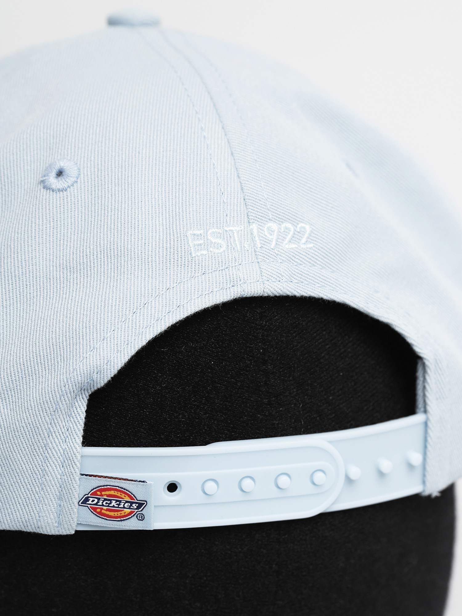 Czapka z daszkiem Dickies Hardwick ZD (fog blue)