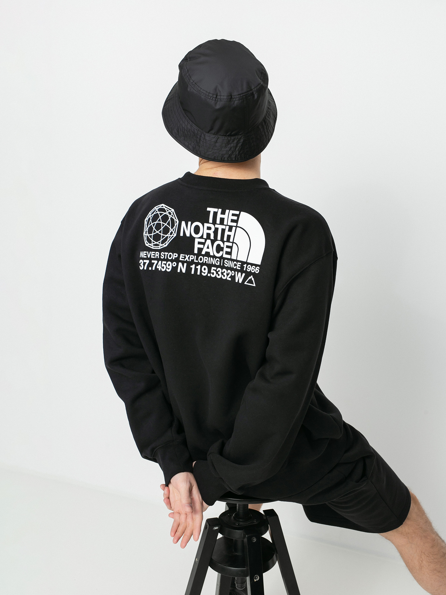 Bluza The North Face Coordinates (tnf black)