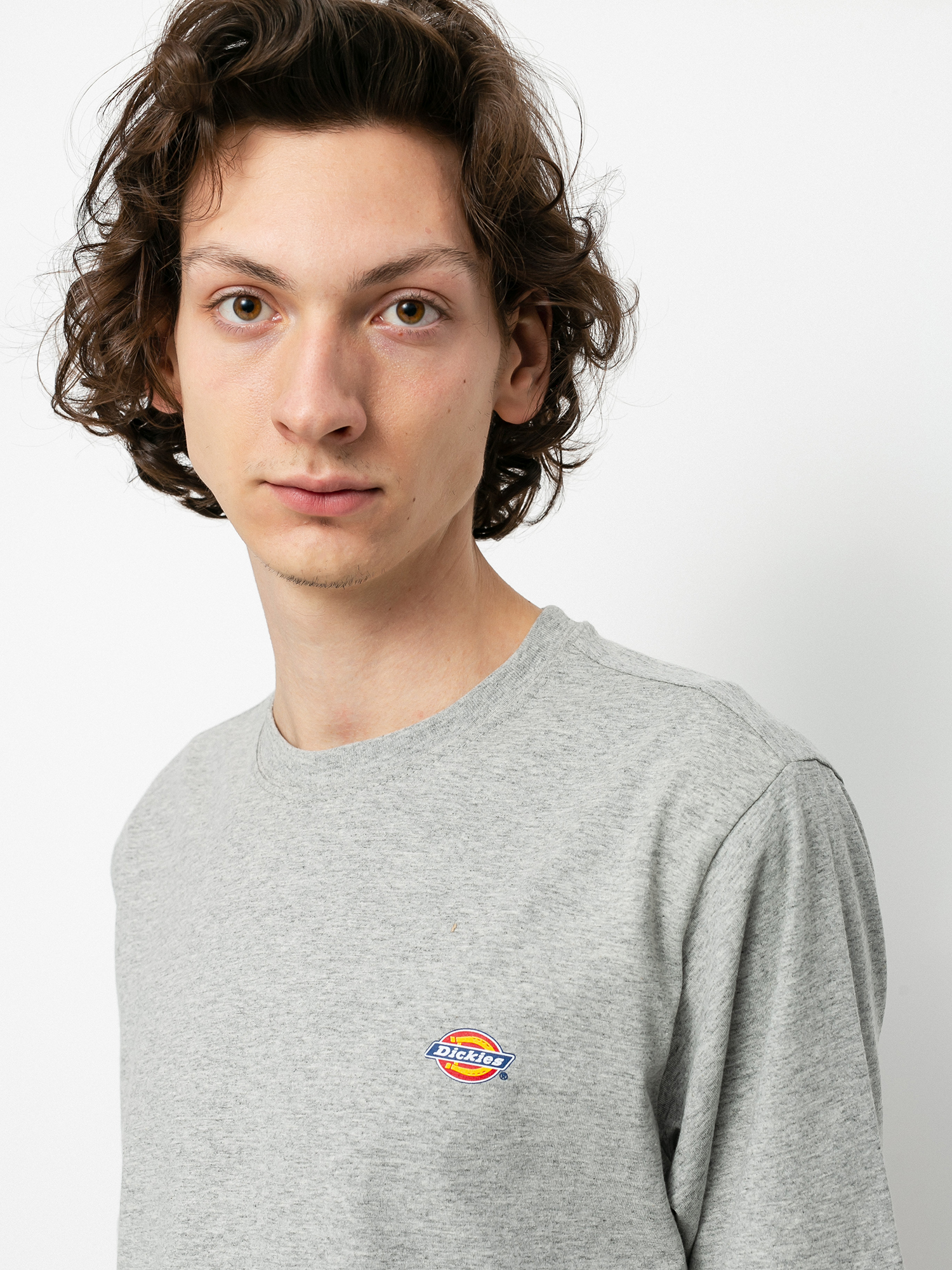 T-shirt Dickies Mapleton (grey melange)