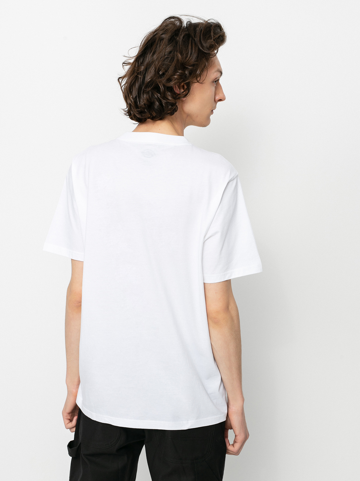 T-shirt Dickies Mc 3pk (assorted colour)