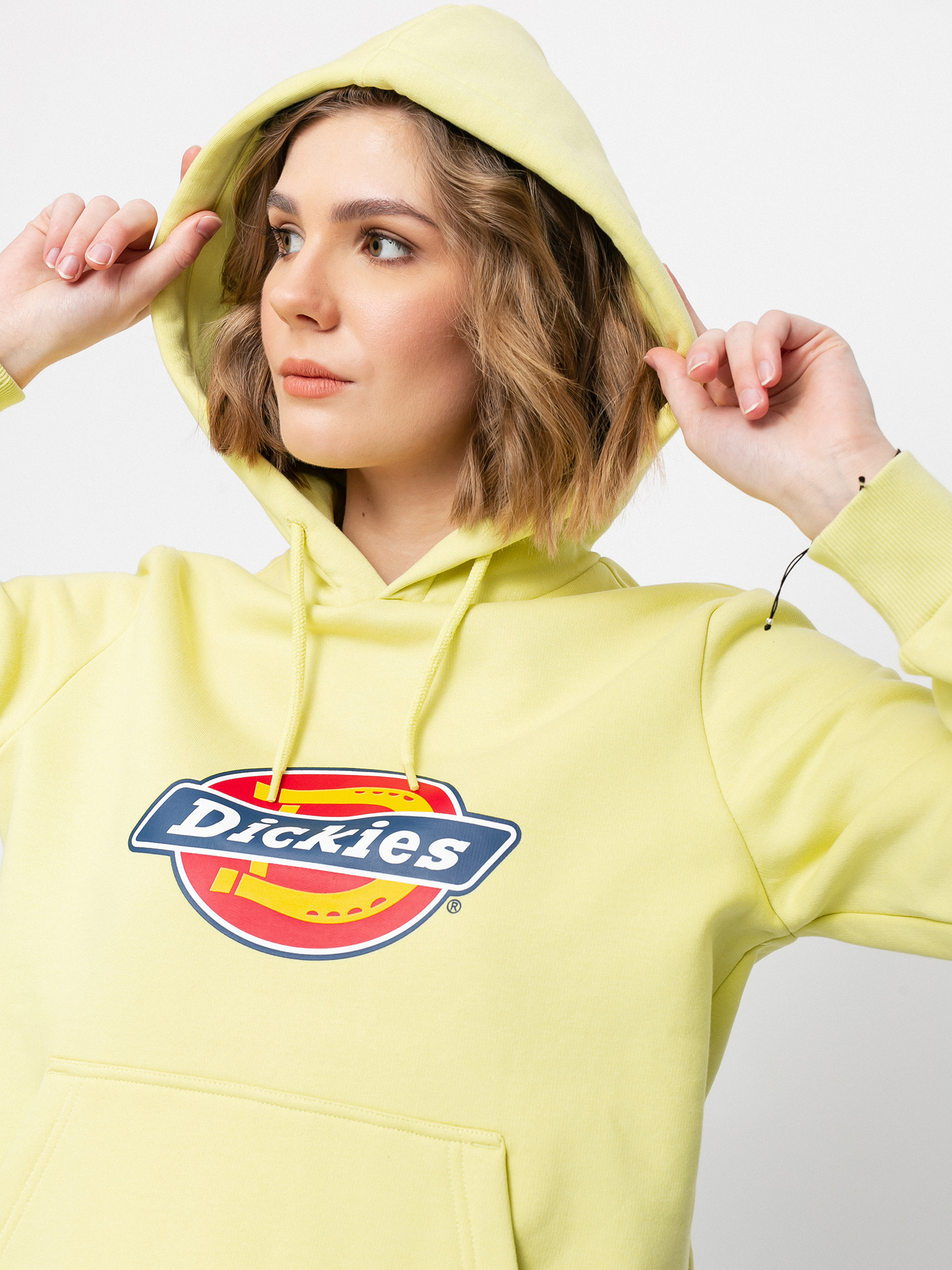 Bluza z kapturem Dickies Icon Logo HD Wmn (mellow green)