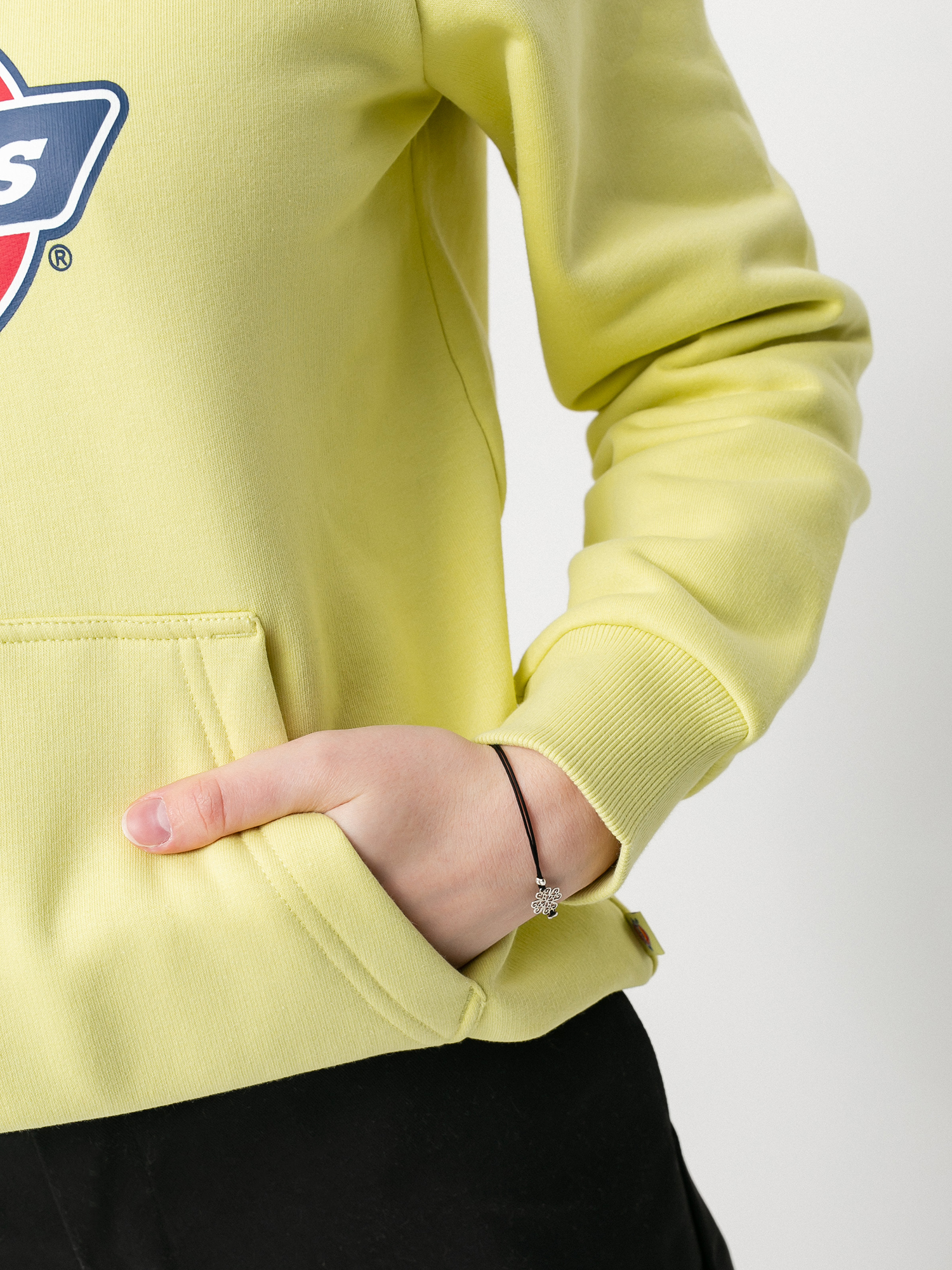 Bluza z kapturem Dickies Icon Logo HD Wmn (mellow green)