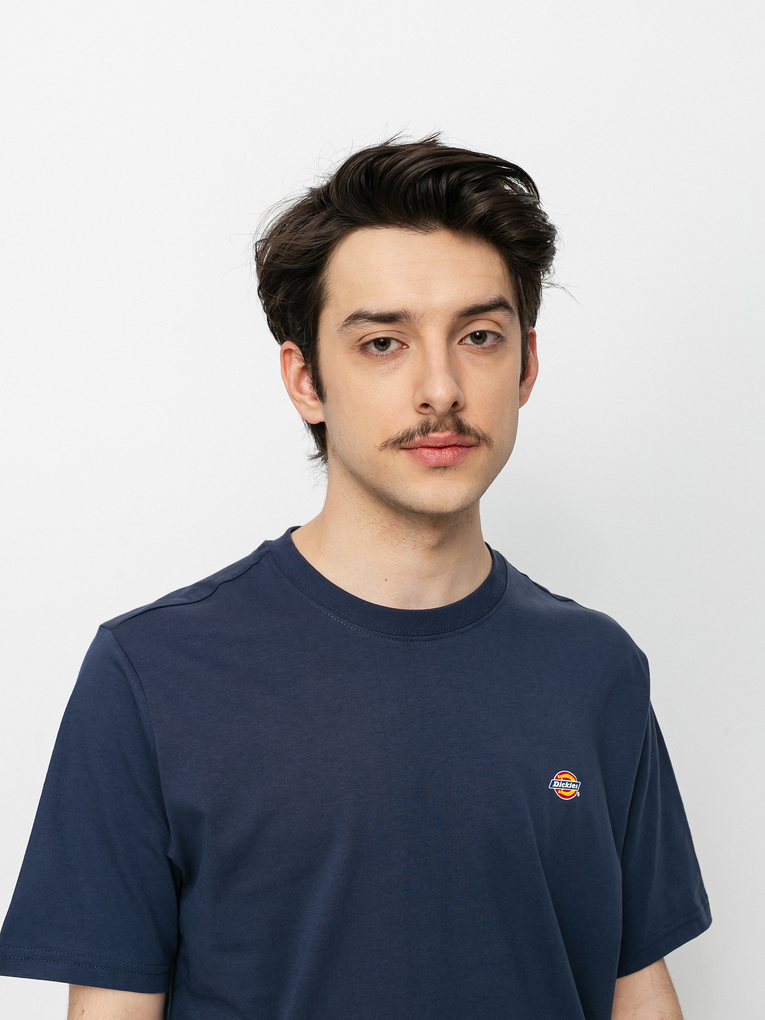 T-shirt Dickies Mapleton (navy blue)