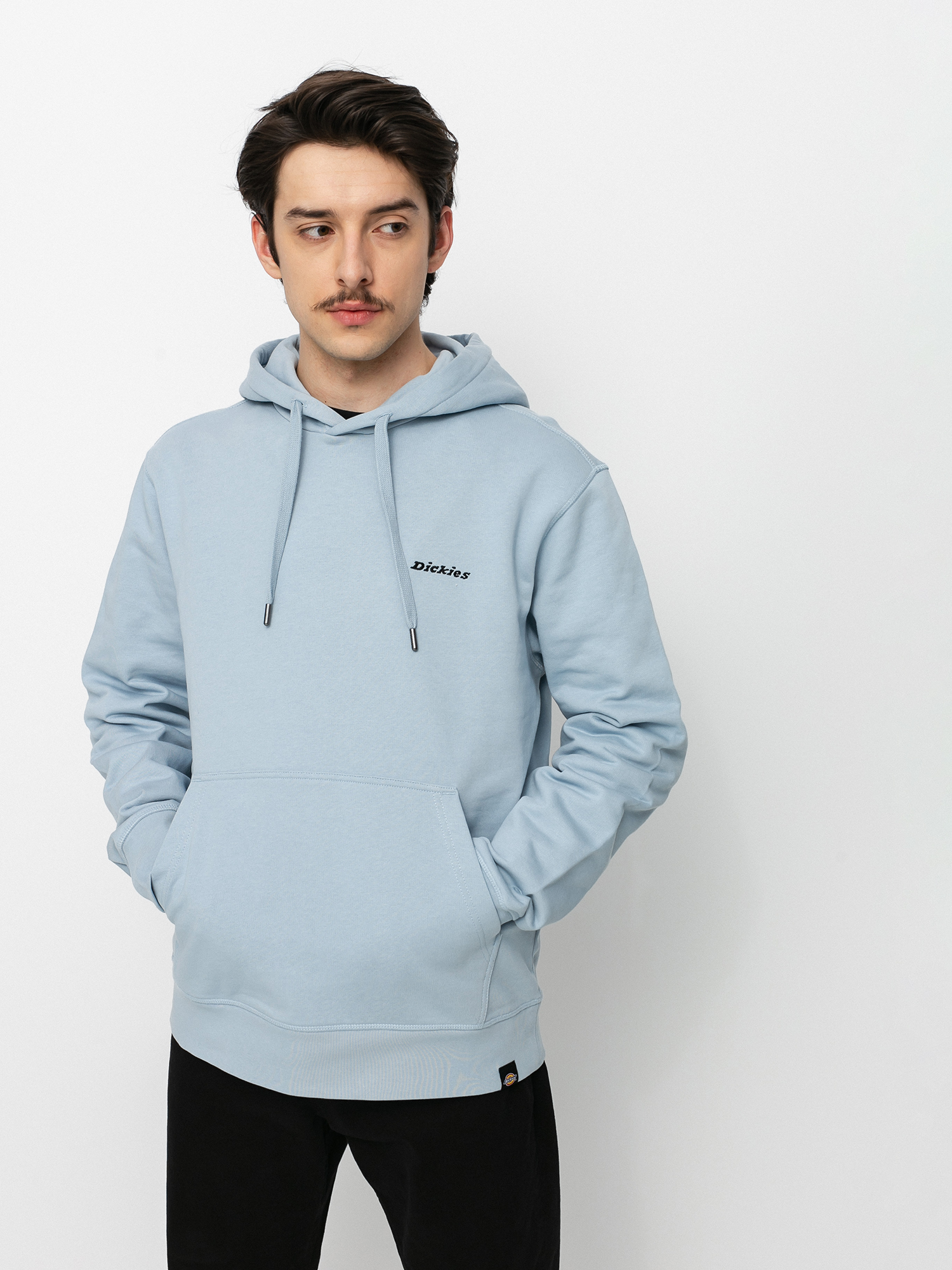 Bluza z kapturem Dickies Loretto HD (fog blue)